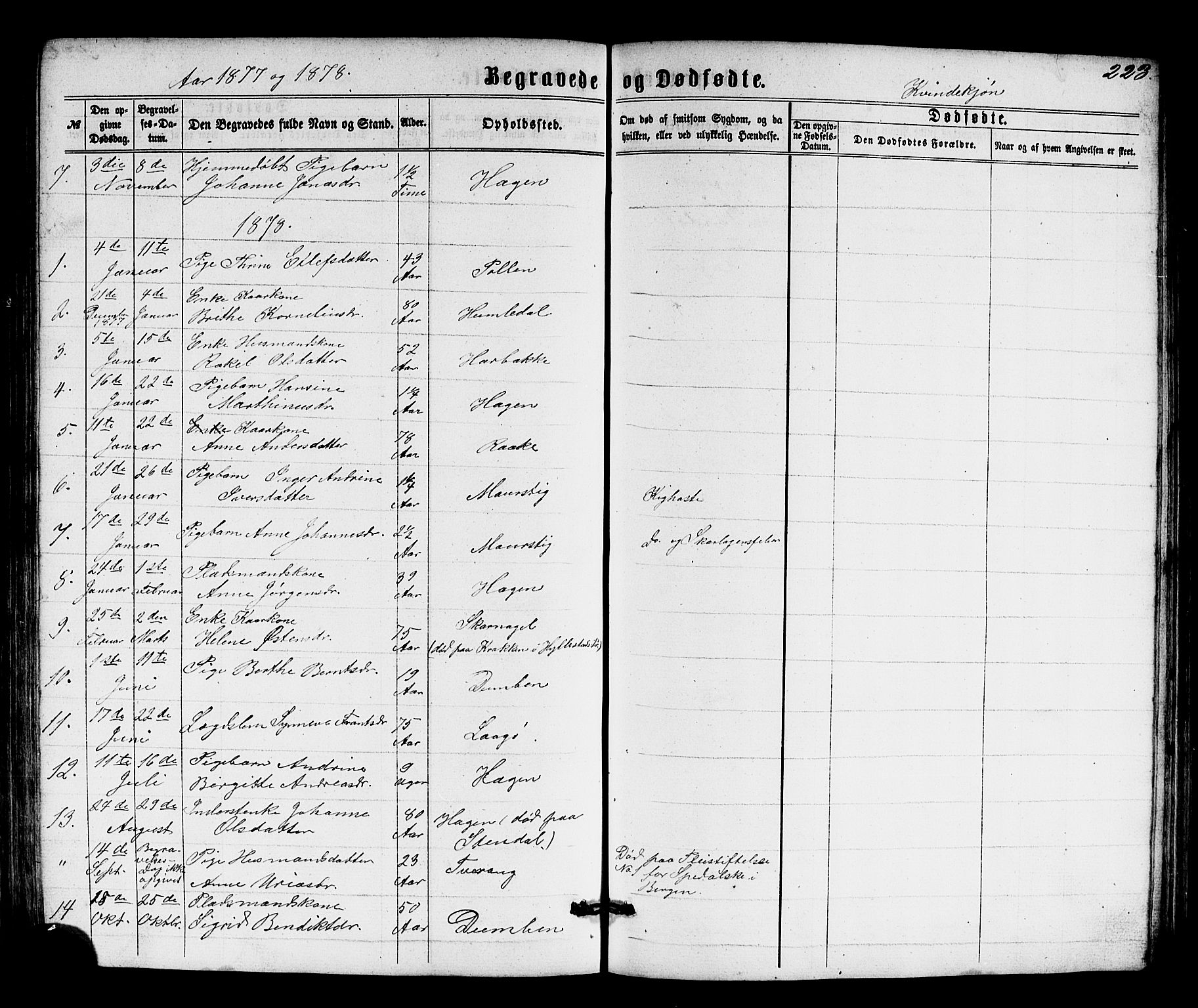 Solund sokneprestembete, SAB/A-81401: Parish register (copy) no. A 1, 1860-1893, p. 223
