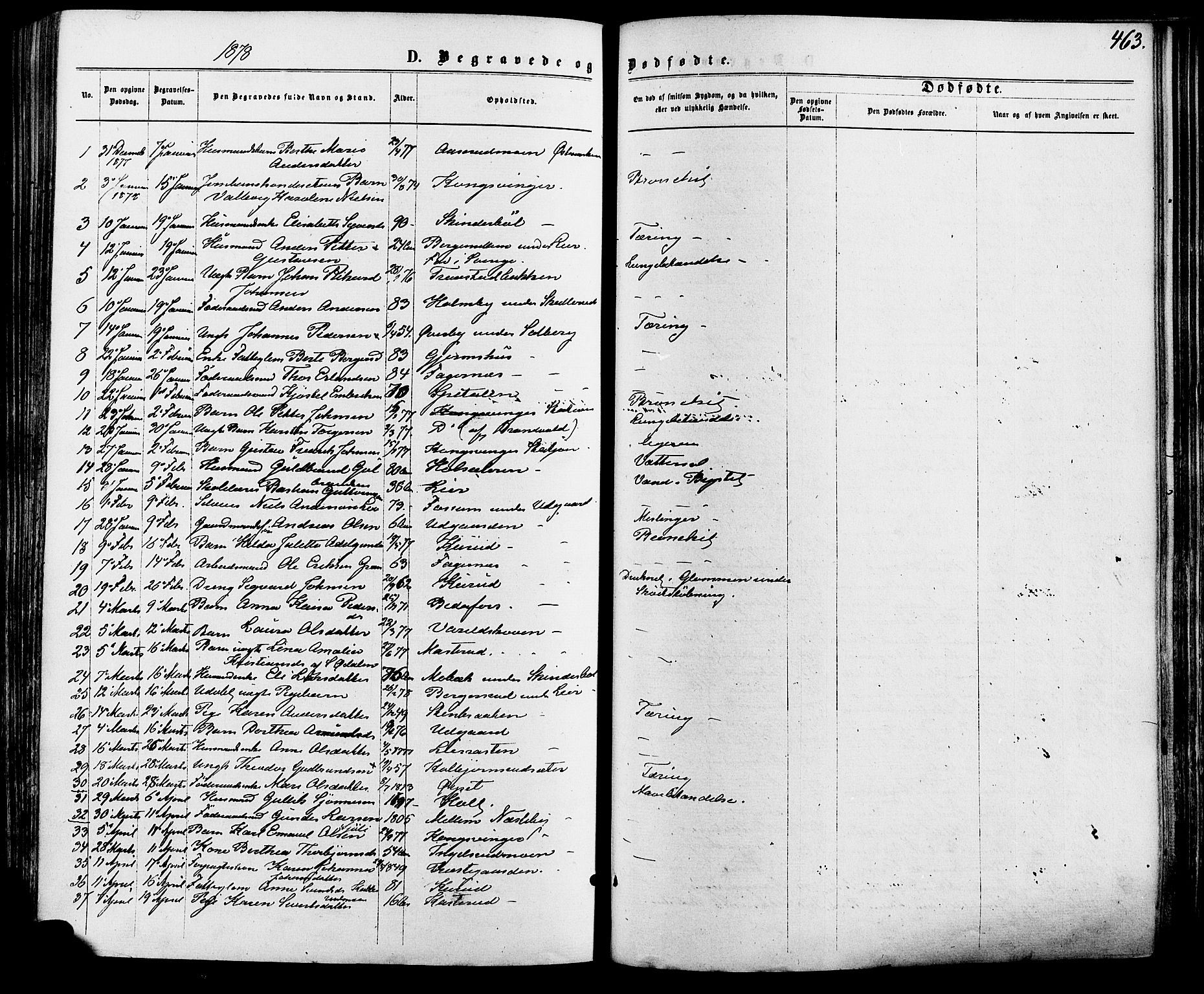 Vinger prestekontor, SAH/PREST-024/H/Ha/Haa/L0012: Parish register (official) no. 12, 1871-1880, p. 463