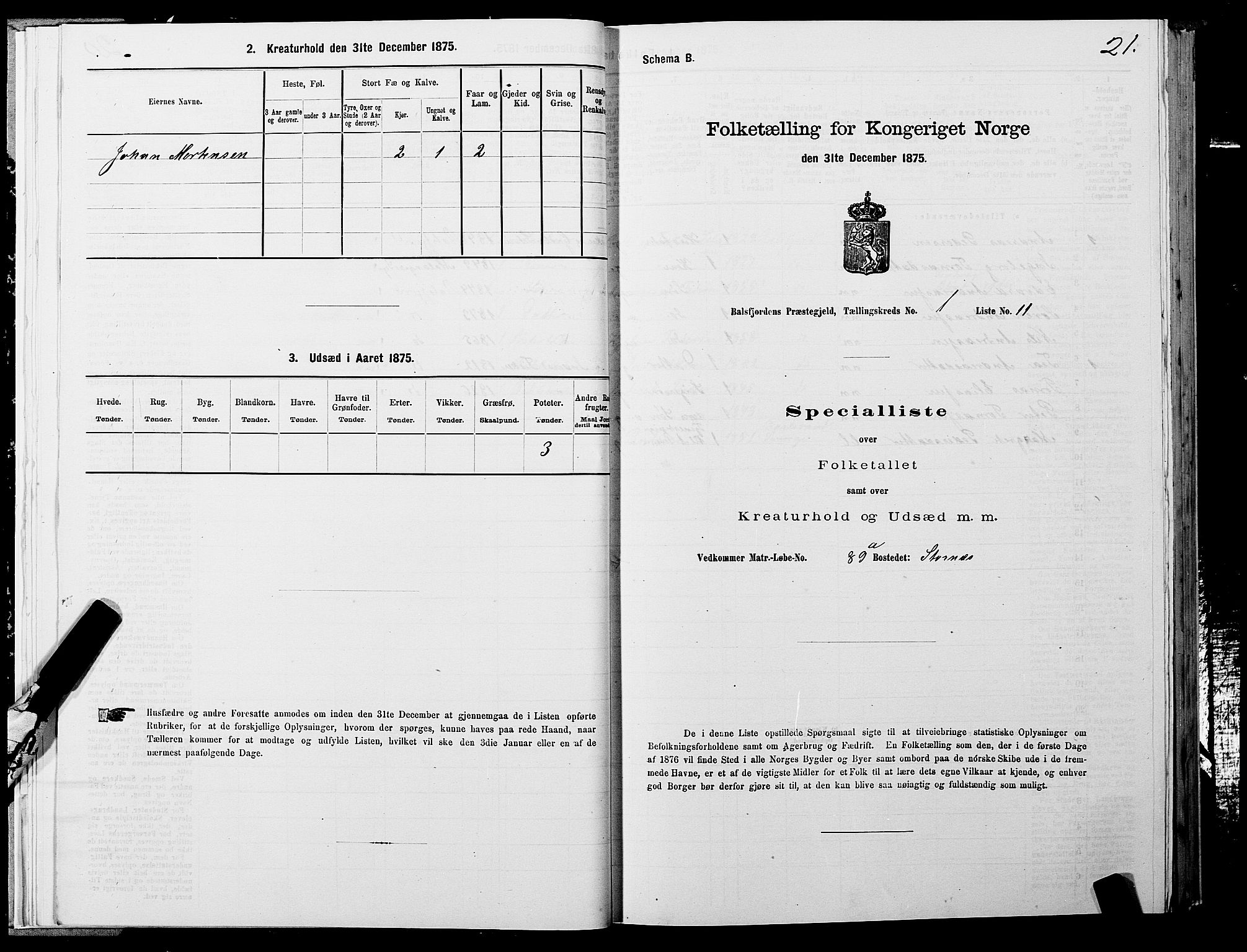 SATØ, 1875 census for 1933P Balsfjord, 1875, p. 1021