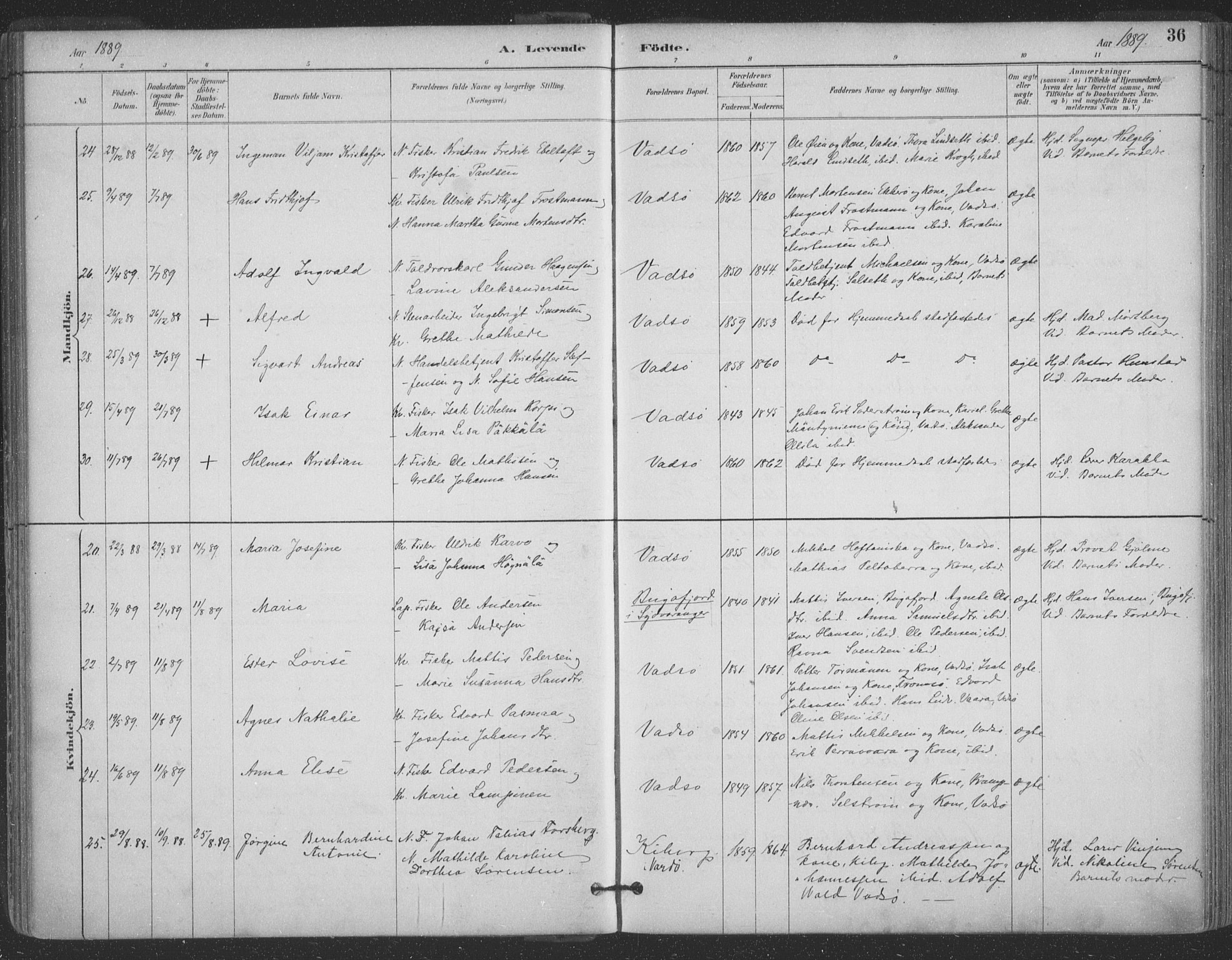 Vadsø sokneprestkontor, AV/SATØ-S-1325/H/Ha/L0006kirke: Parish register (official) no. 6, 1885-1895, p. 36