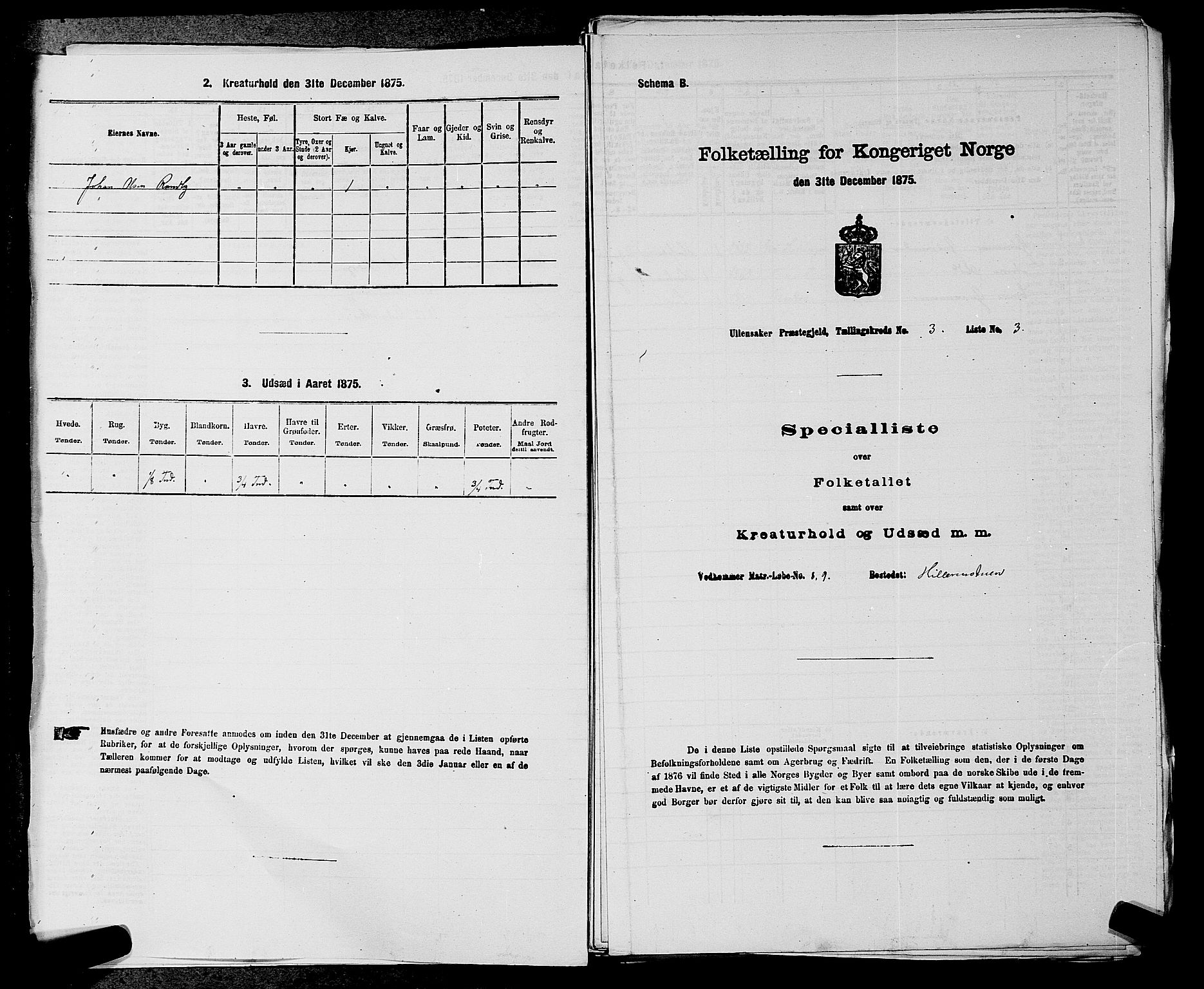 RA, 1875 census for 0235P Ullensaker, 1875, p. 302