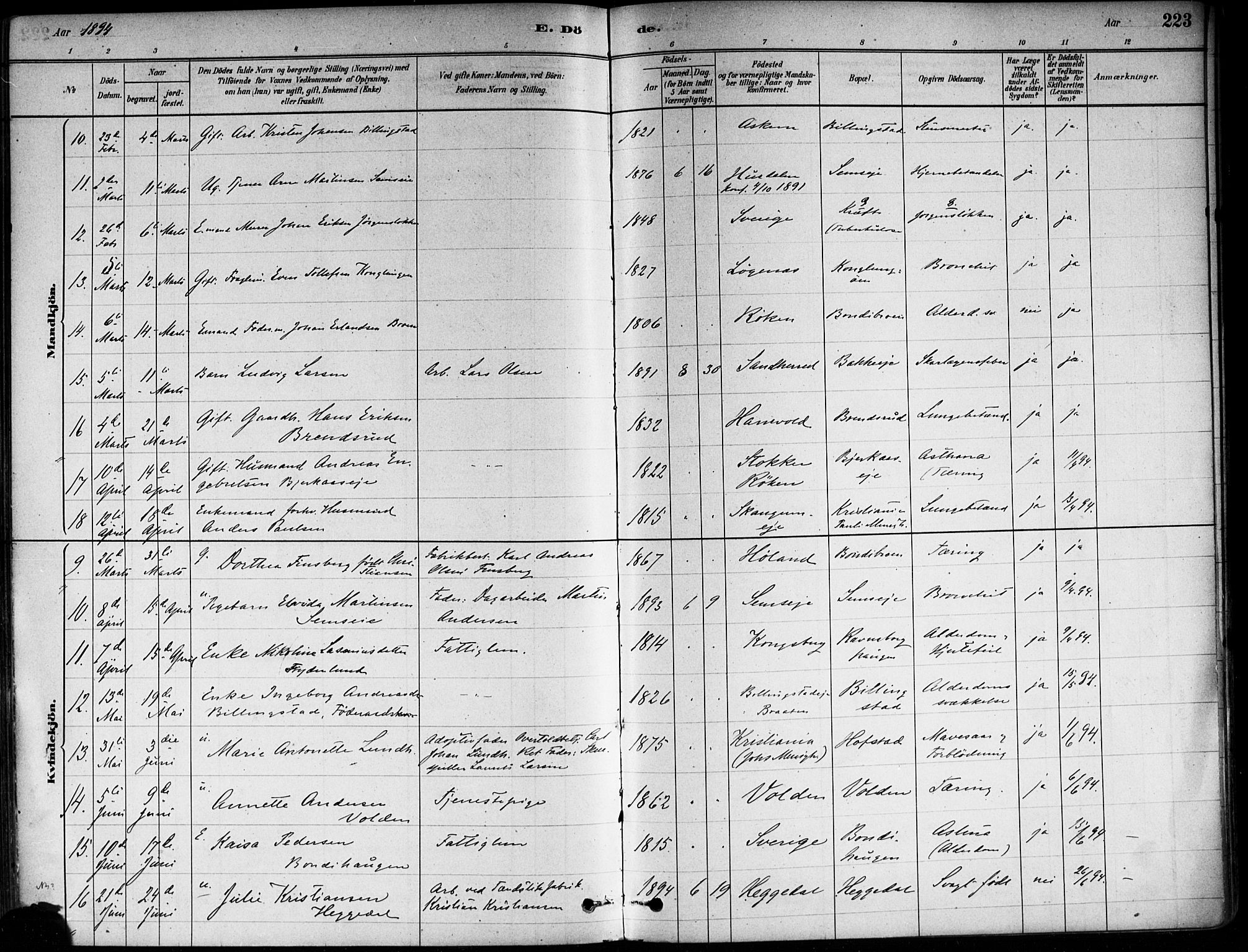 Asker prestekontor Kirkebøker, AV/SAO-A-10256a/F/Fa/L0013: Parish register (official) no. I 13, 1879-1896, p. 223