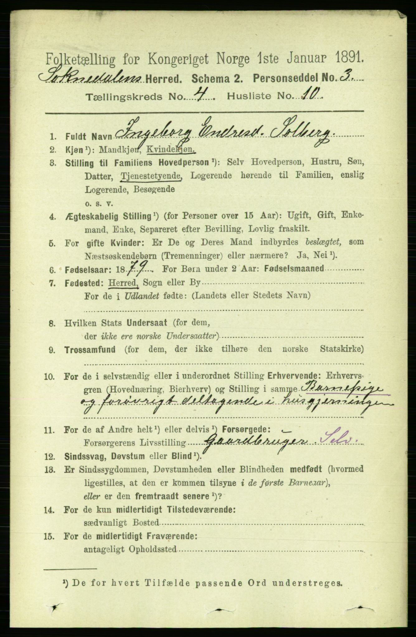 RA, 1891 census for 1649 Soknedal, 1891, p. 1664