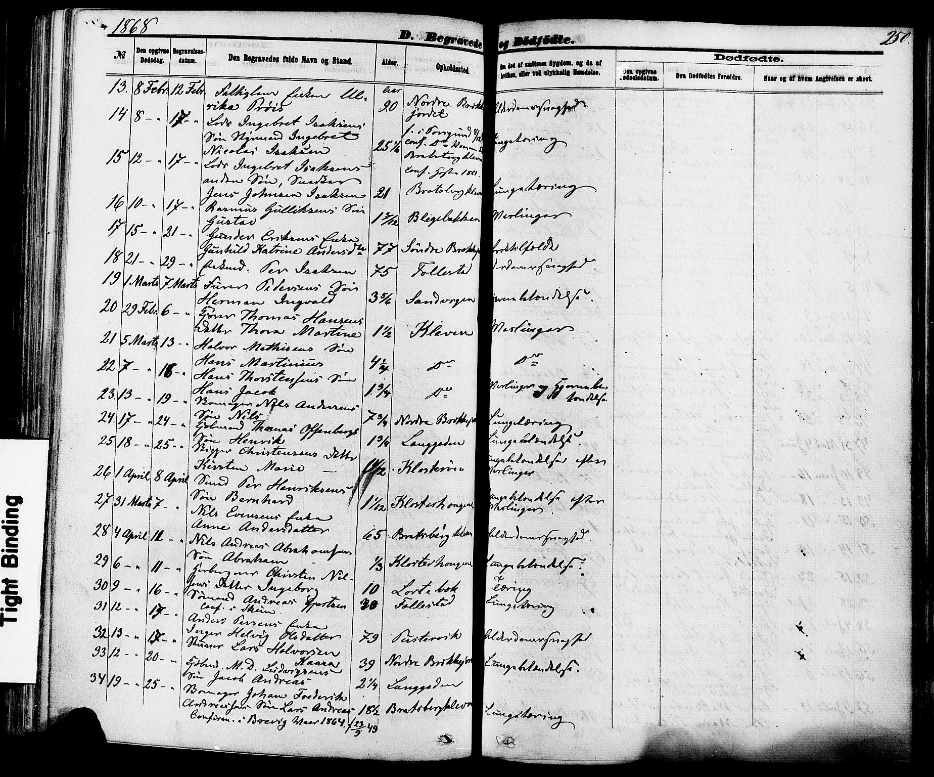 Skien kirkebøker, SAKO/A-302/F/Fa/L0008: Parish register (official) no. 8, 1866-1877, p. 250