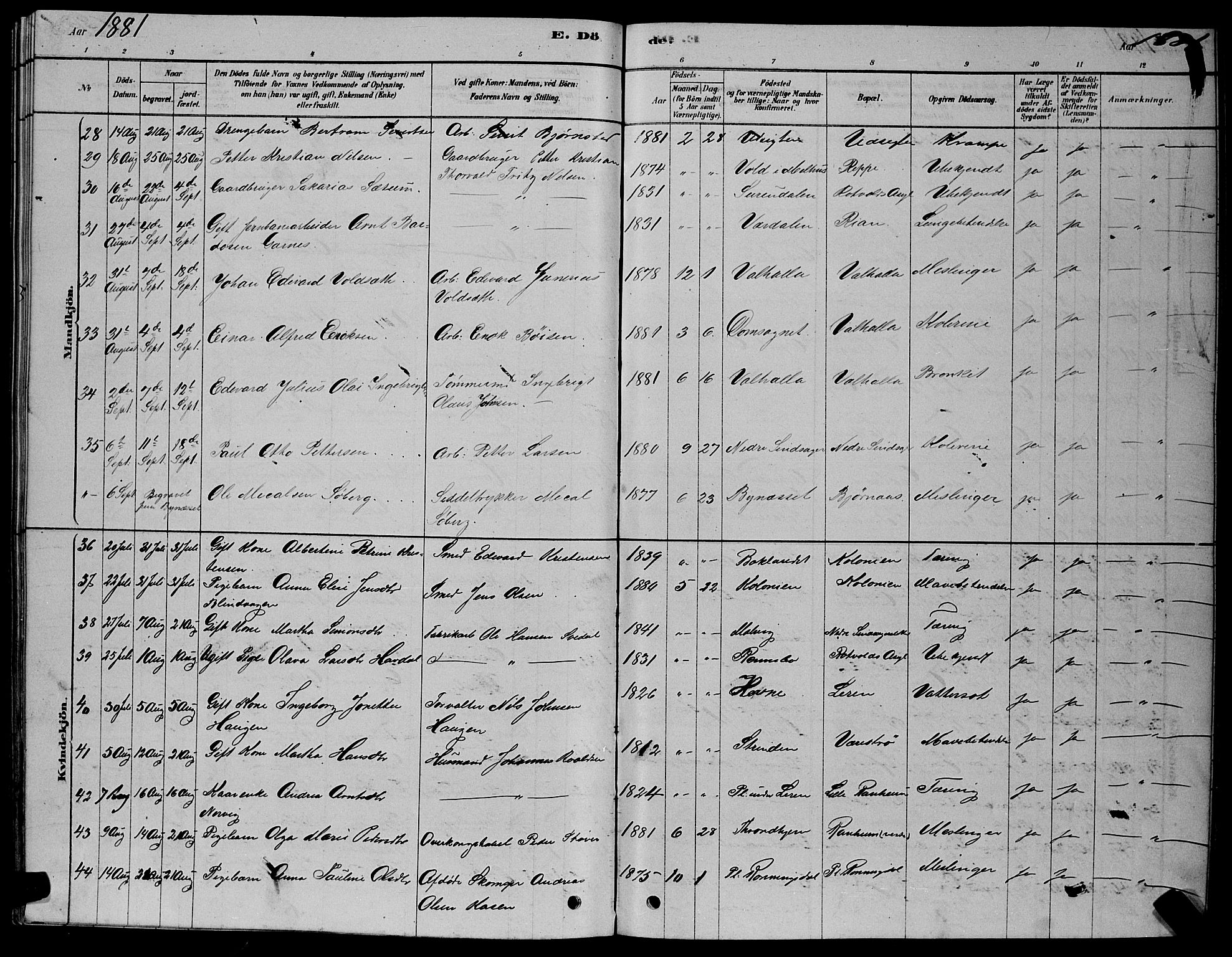 Ministerialprotokoller, klokkerbøker og fødselsregistre - Sør-Trøndelag, AV/SAT-A-1456/606/L0312: Parish register (copy) no. 606C08, 1878-1894