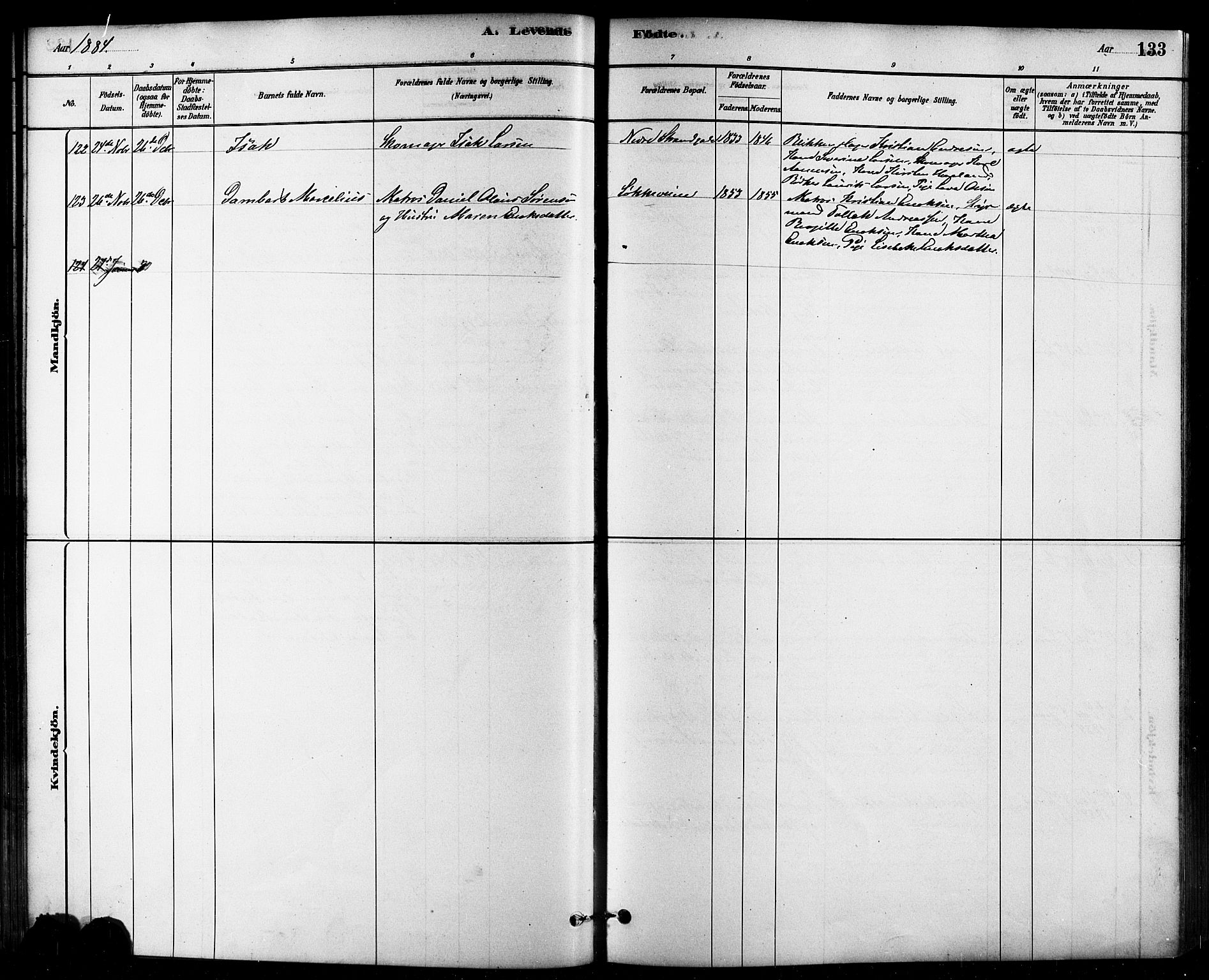 Domkirken sokneprestkontor, AV/SAST-A-101812/001/30/30BB/L0015: Parish register (copy) no. B 15, 1880-1891, p. 133