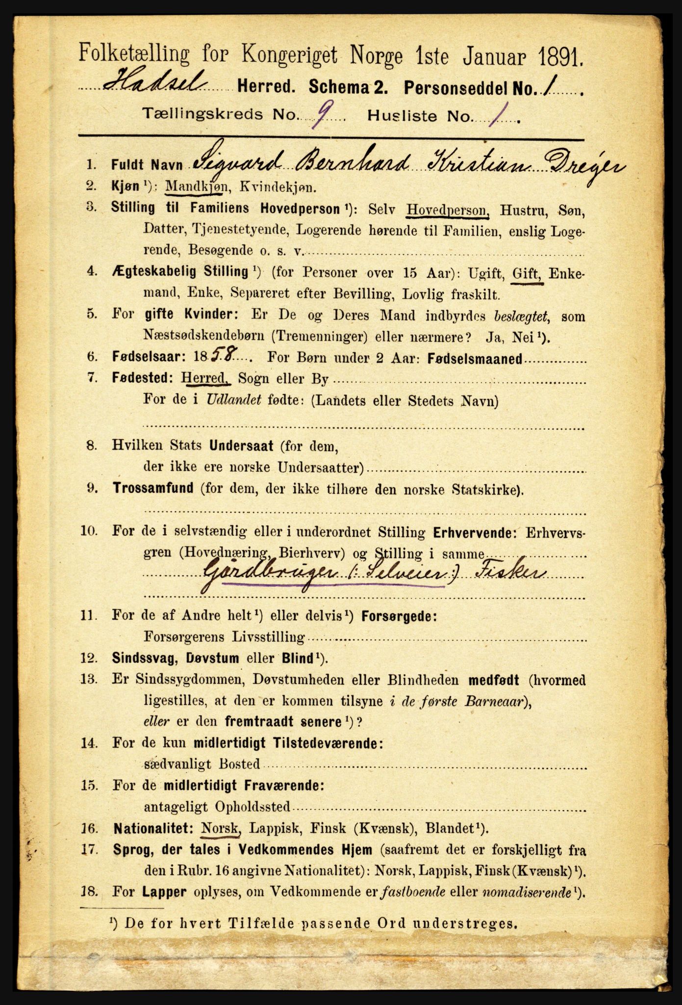 RA, 1891 census for 1866 Hadsel, 1891, p. 3917