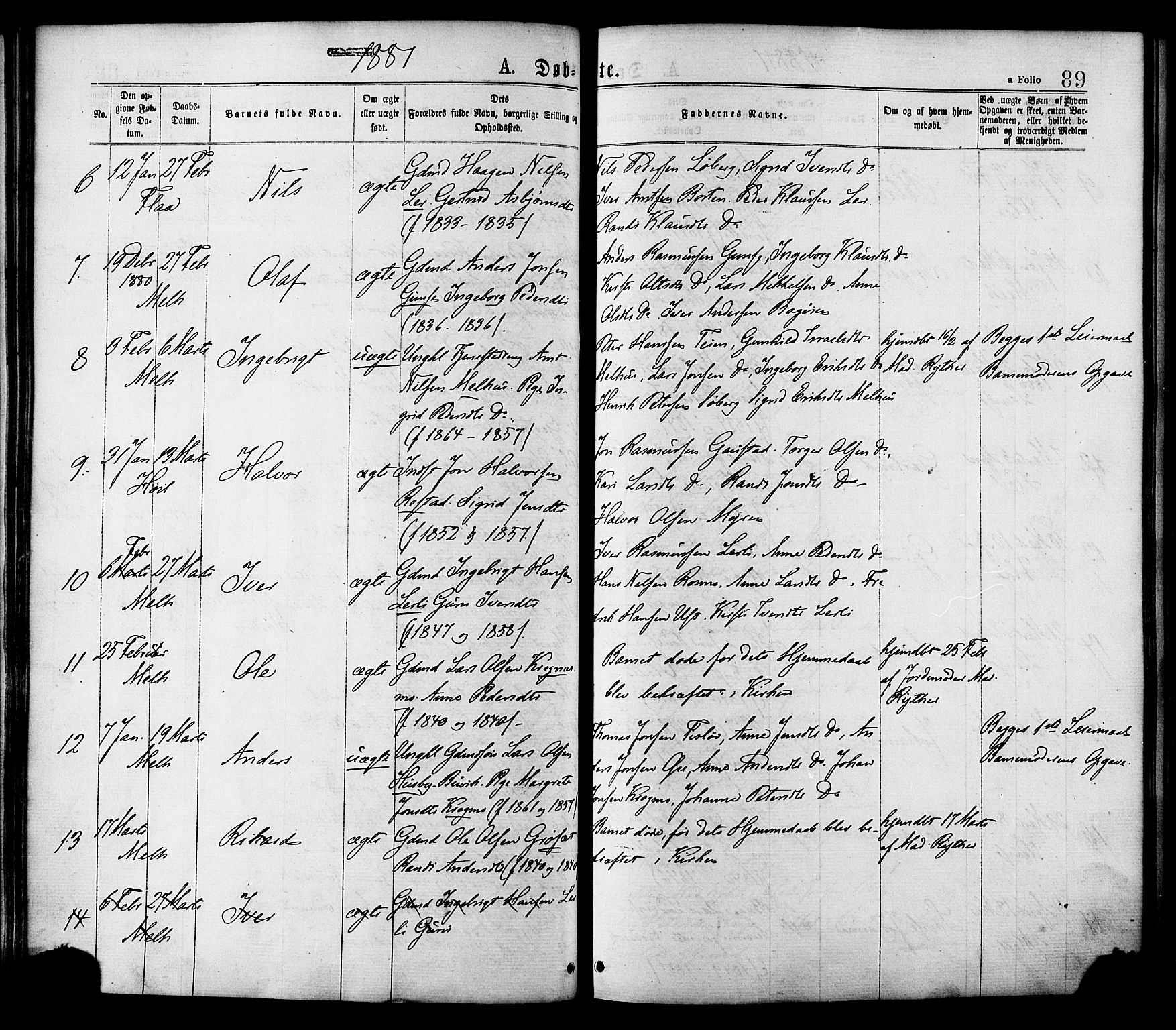 Ministerialprotokoller, klokkerbøker og fødselsregistre - Sør-Trøndelag, AV/SAT-A-1456/691/L1079: Parish register (official) no. 691A11, 1873-1886, p. 89