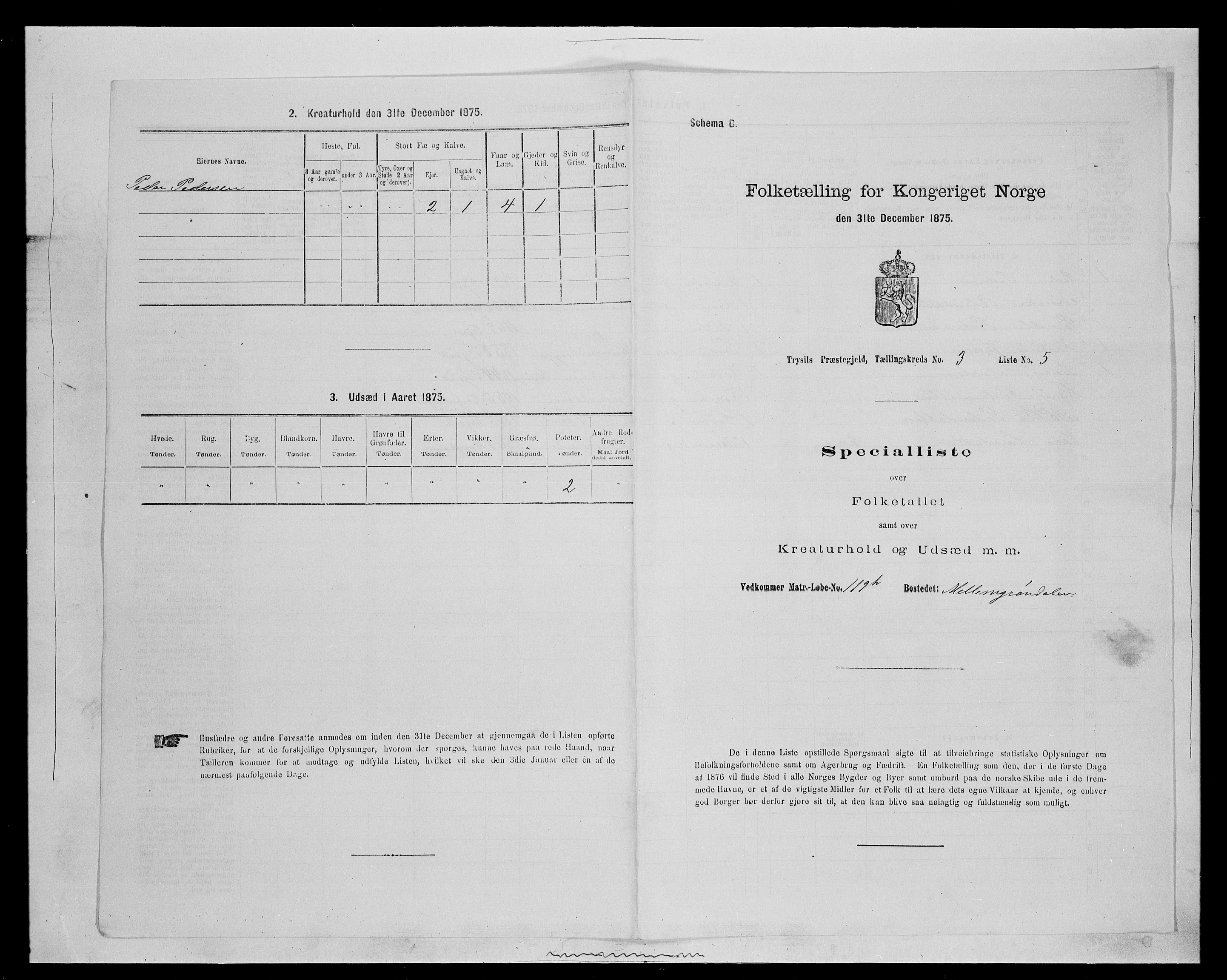 SAH, 1875 census for 0428P Trysil, 1875, p. 412