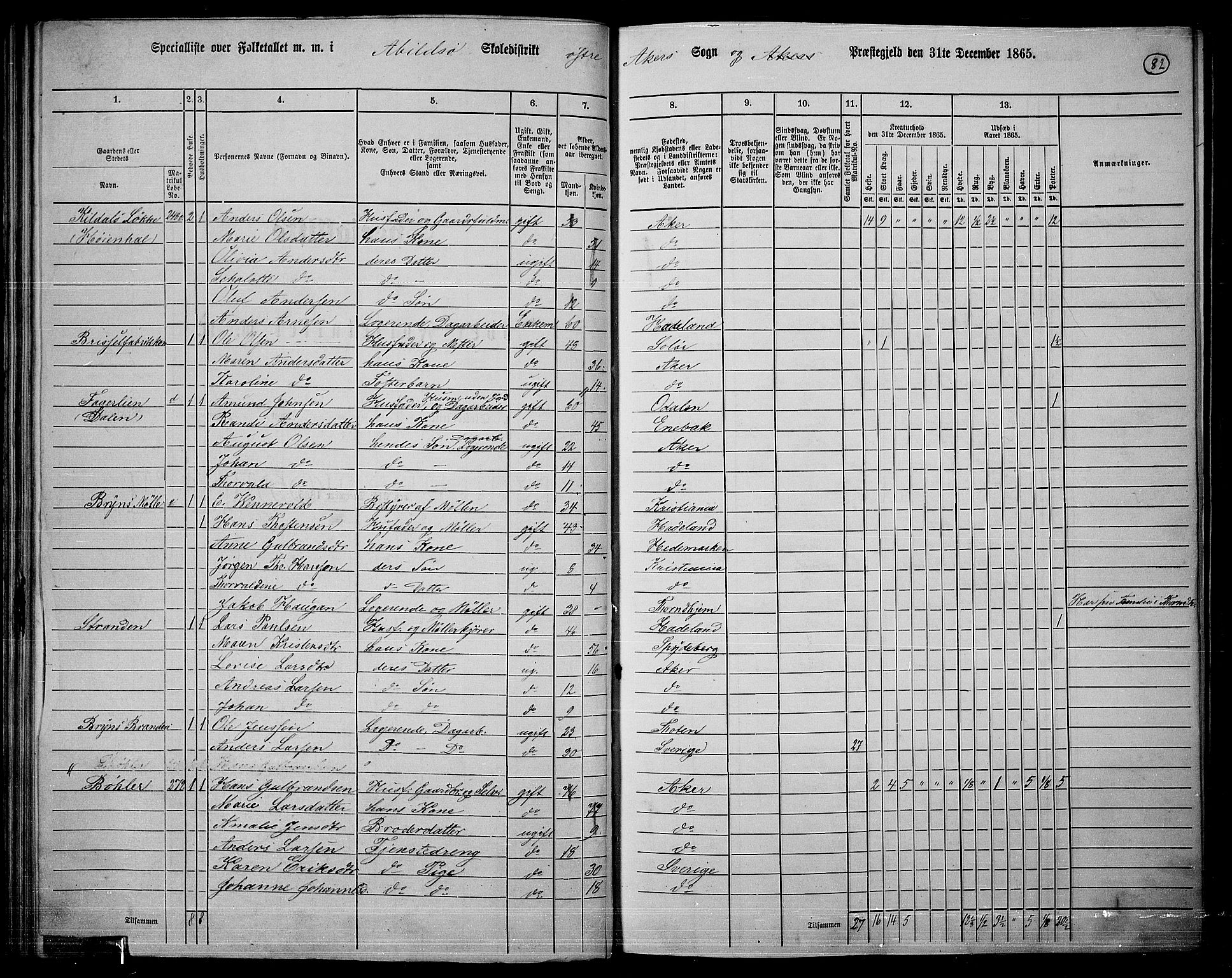 RA, 1865 census for Østre Aker, 1865, p. 306