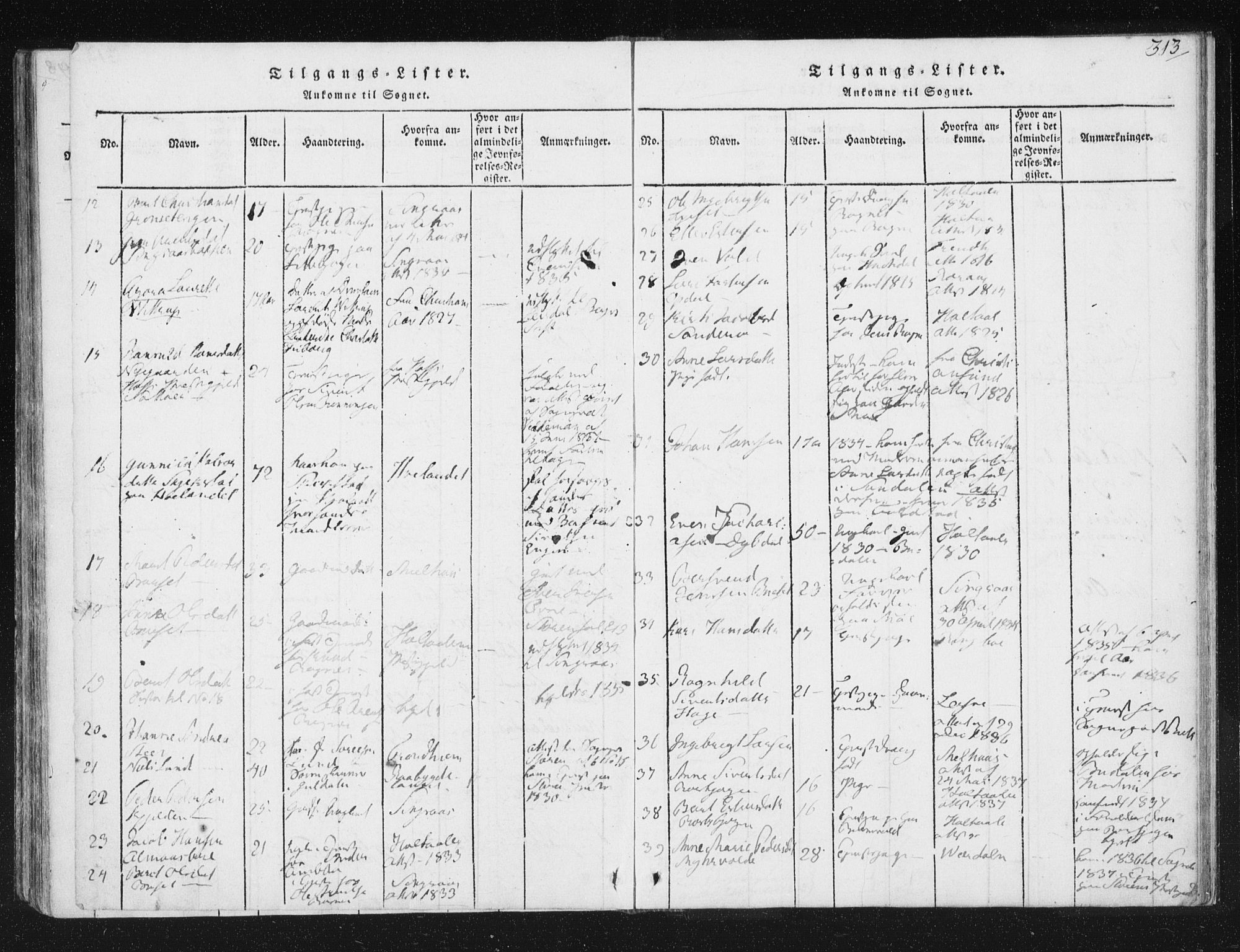 Ministerialprotokoller, klokkerbøker og fødselsregistre - Sør-Trøndelag, AV/SAT-A-1456/687/L0996: Parish register (official) no. 687A04, 1816-1842, p. 313