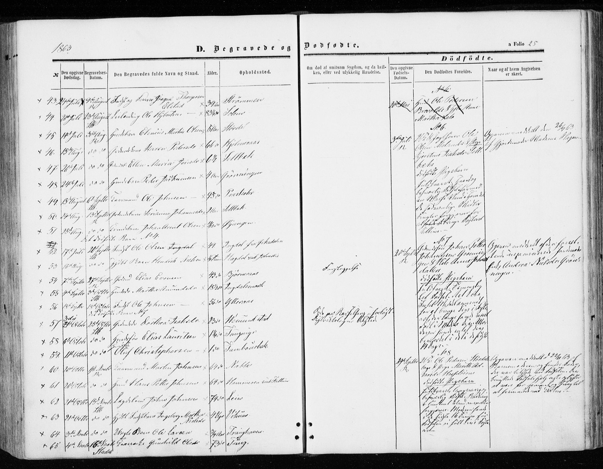 Ministerialprotokoller, klokkerbøker og fødselsregistre - Sør-Trøndelag, SAT/A-1456/646/L0612: Parish register (official) no. 646A10, 1858-1869, p. 25