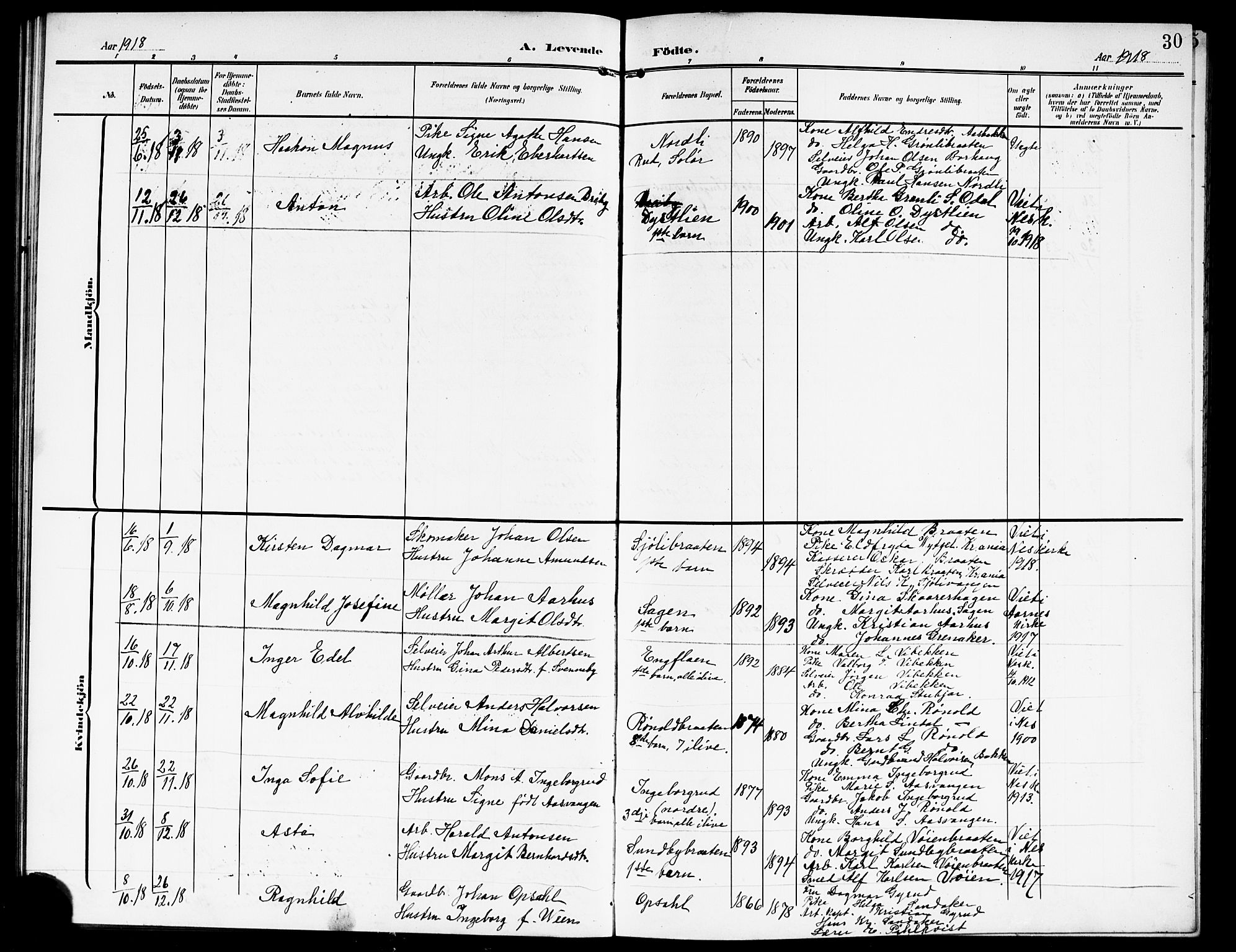 Nes prestekontor Kirkebøker, AV/SAO-A-10410/G/Gd/L0001: Parish register (copy) no. IV 1, 1907-1922, p. 30