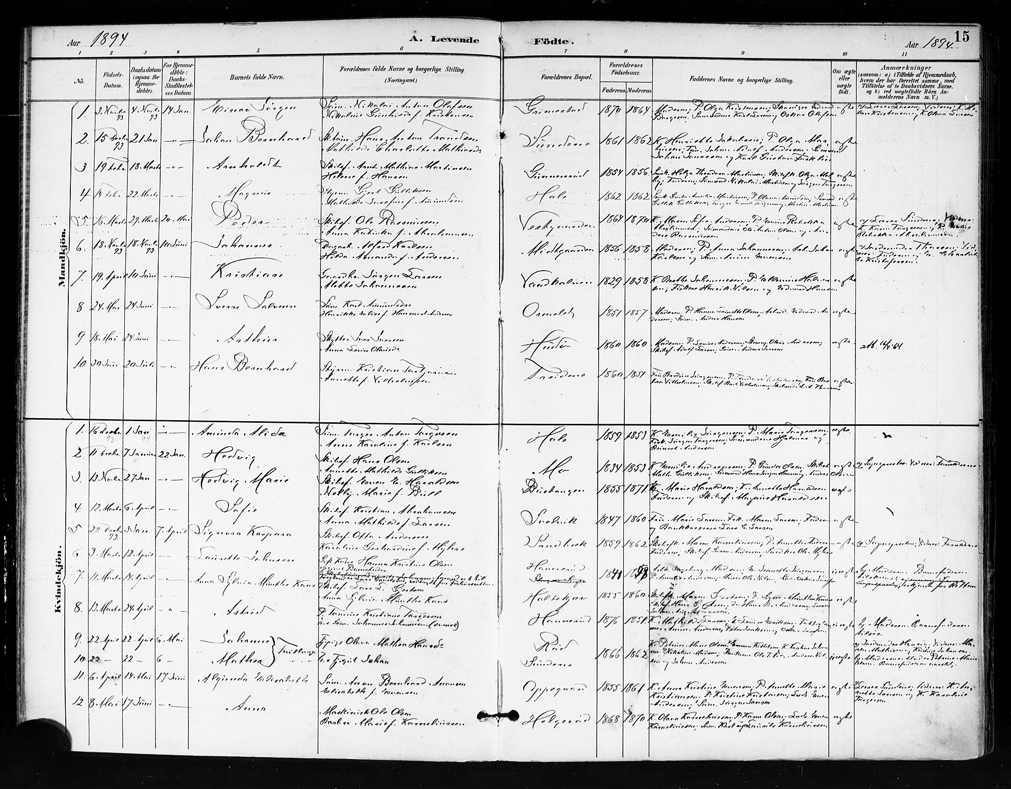 Tjøme kirkebøker, SAKO/A-328/F/Fa/L0003: Parish register (official) no. 3, 1891-1900, p. 15