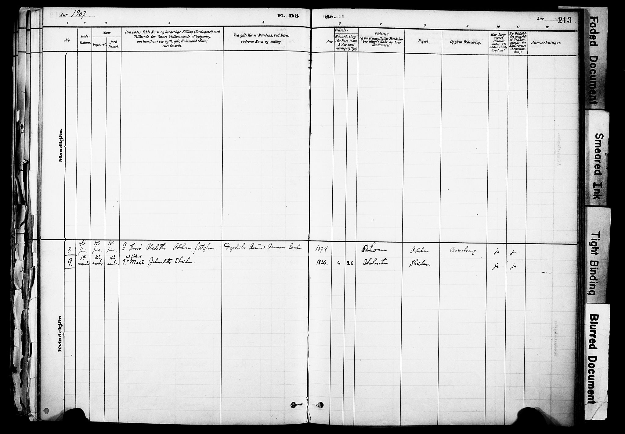 Skjåk prestekontor, SAH/PREST-072/H/Ha/Haa/L0003: Parish register (official) no. 3, 1880-1907, p. 213
