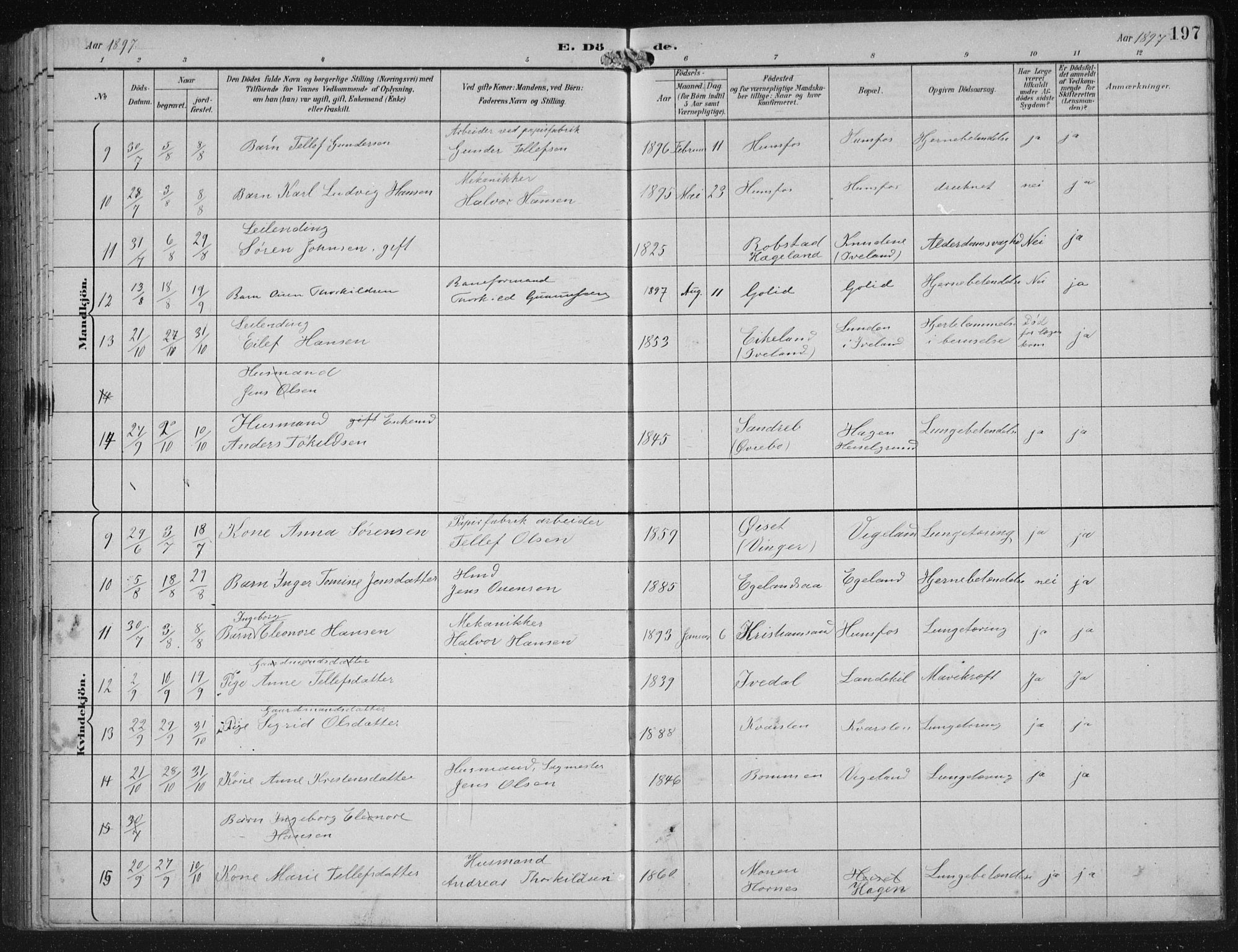 Vennesla sokneprestkontor, AV/SAK-1111-0045/Fb/Fbb/L0004: Parish register (copy) no. B 4, 1893-1902, p. 197