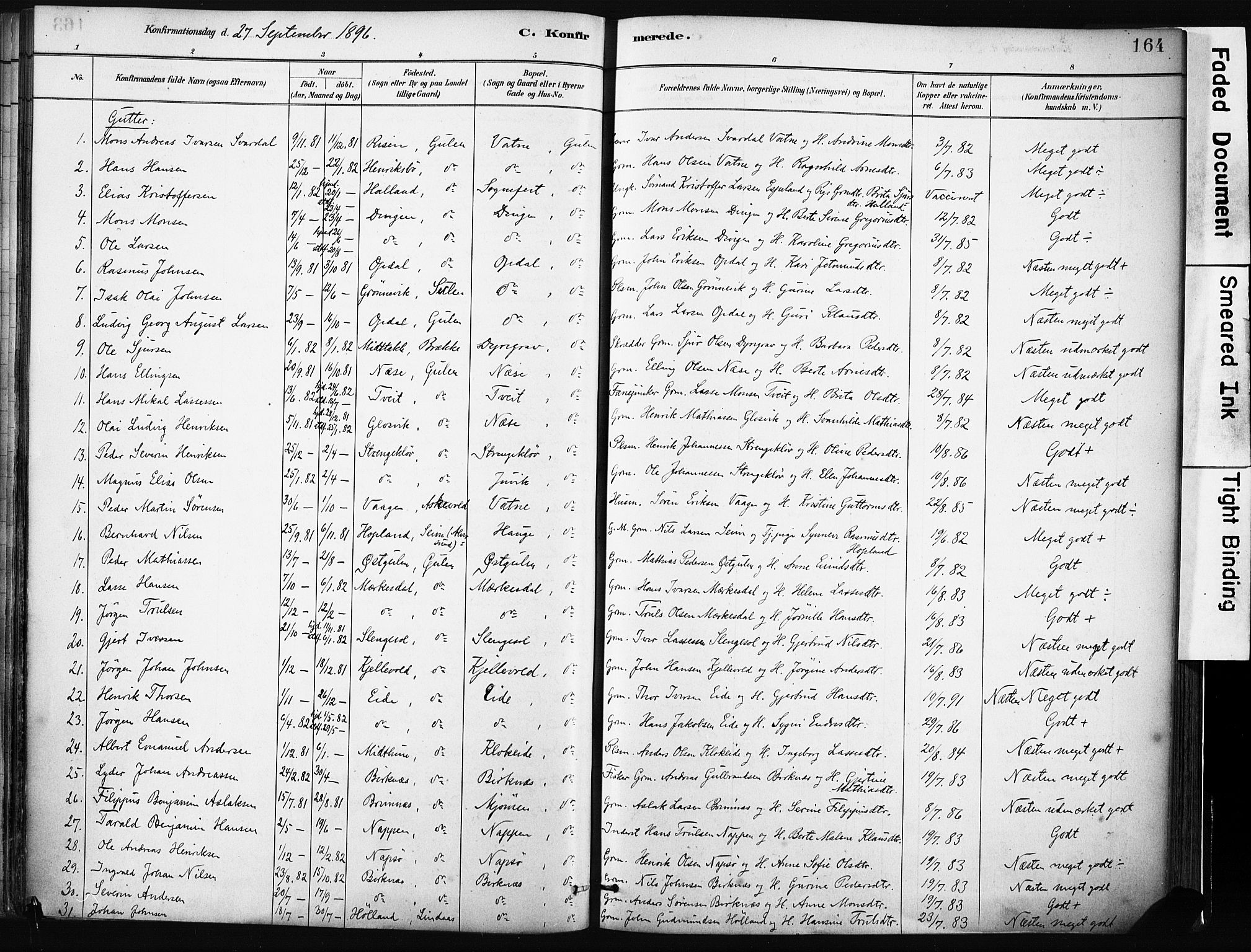 Gulen sokneprestembete, AV/SAB-A-80201/H/Haa/Haab/L0001: Parish register (official) no. B 1, 1881-1905, p. 164