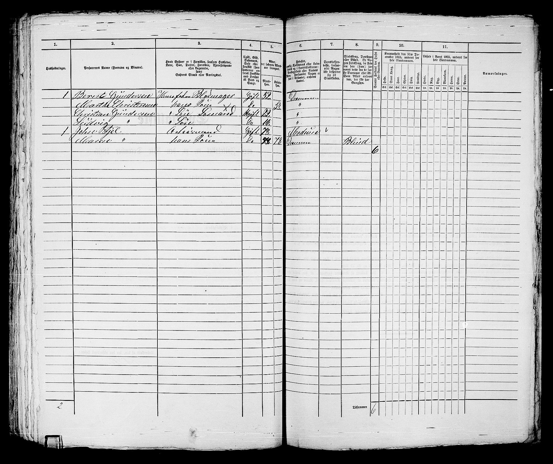 RA, 1865 census for Strømsø in Drammen, 1865, p. 332