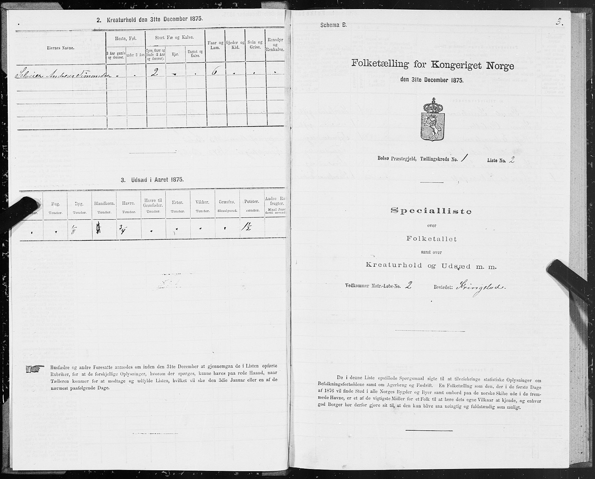 SAT, 1875 census for 1544P Bolsøy, 1875, p. 1003