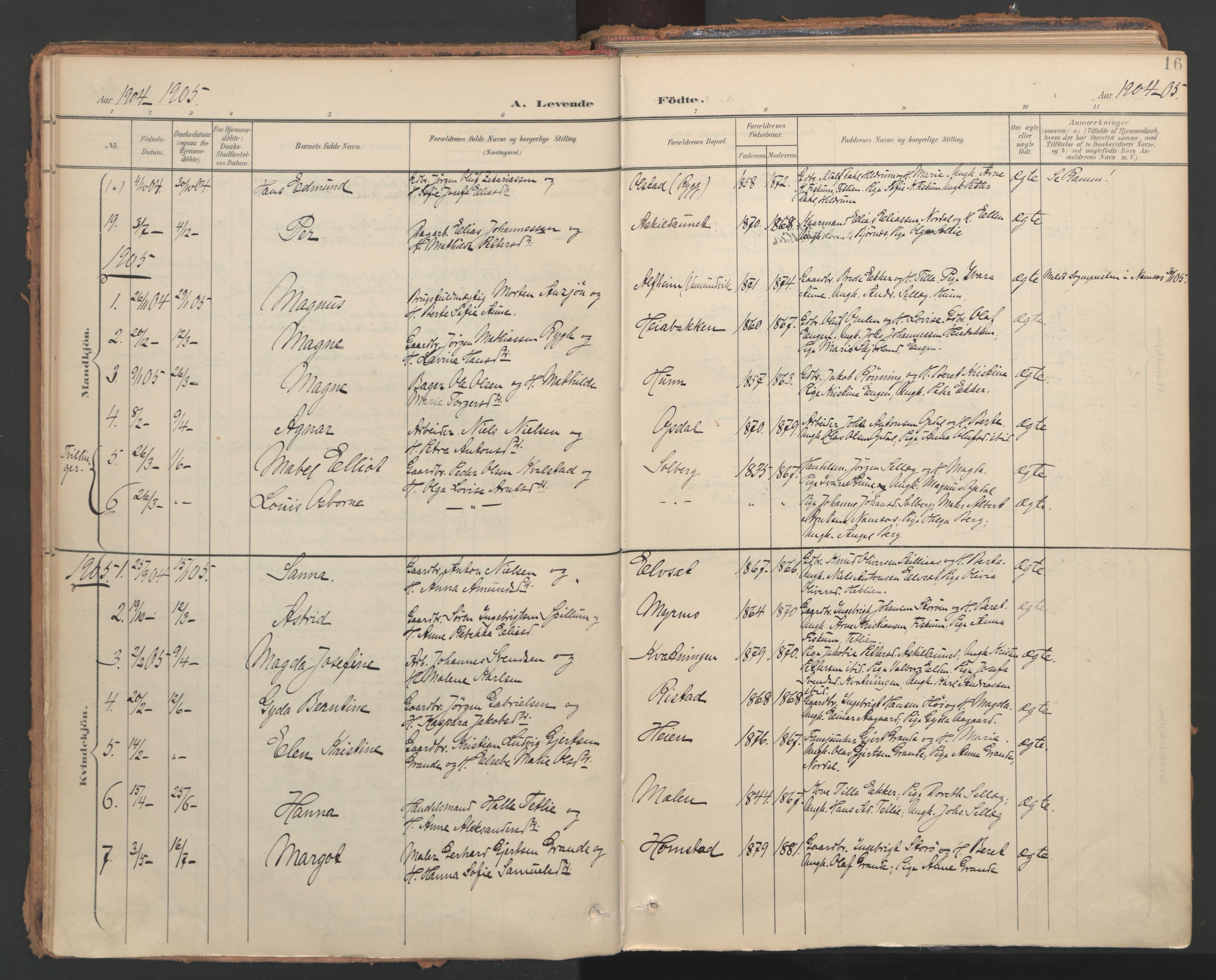 Ministerialprotokoller, klokkerbøker og fødselsregistre - Nord-Trøndelag, AV/SAT-A-1458/766/L0564: Parish register (official) no. 767A02, 1900-1932, p. 16
