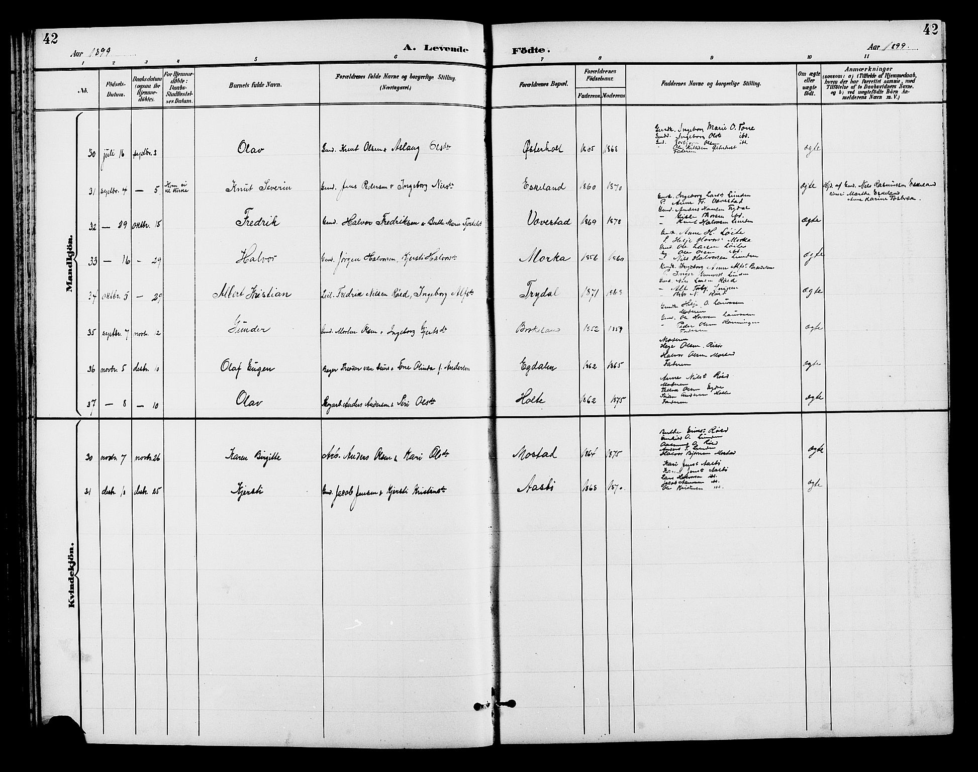 Gjerstad sokneprestkontor, SAK/1111-0014/F/Fb/Fba/L0007: Parish register (copy) no. B 7, 1891-1908, p. 42