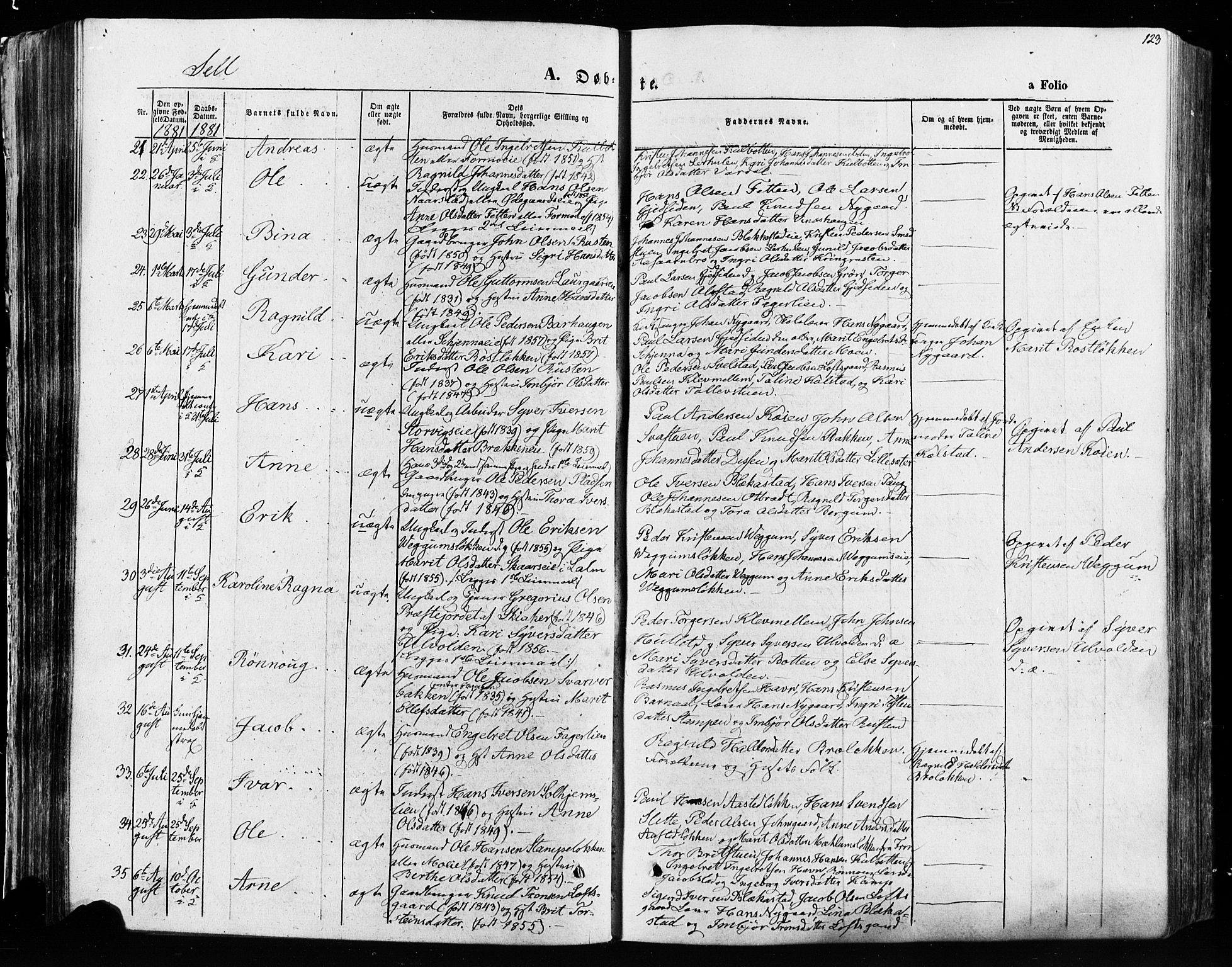 Vågå prestekontor, AV/SAH-PREST-076/H/Ha/Haa/L0007: Parish register (official) no. 7 /3, 1872-1886, p. 123