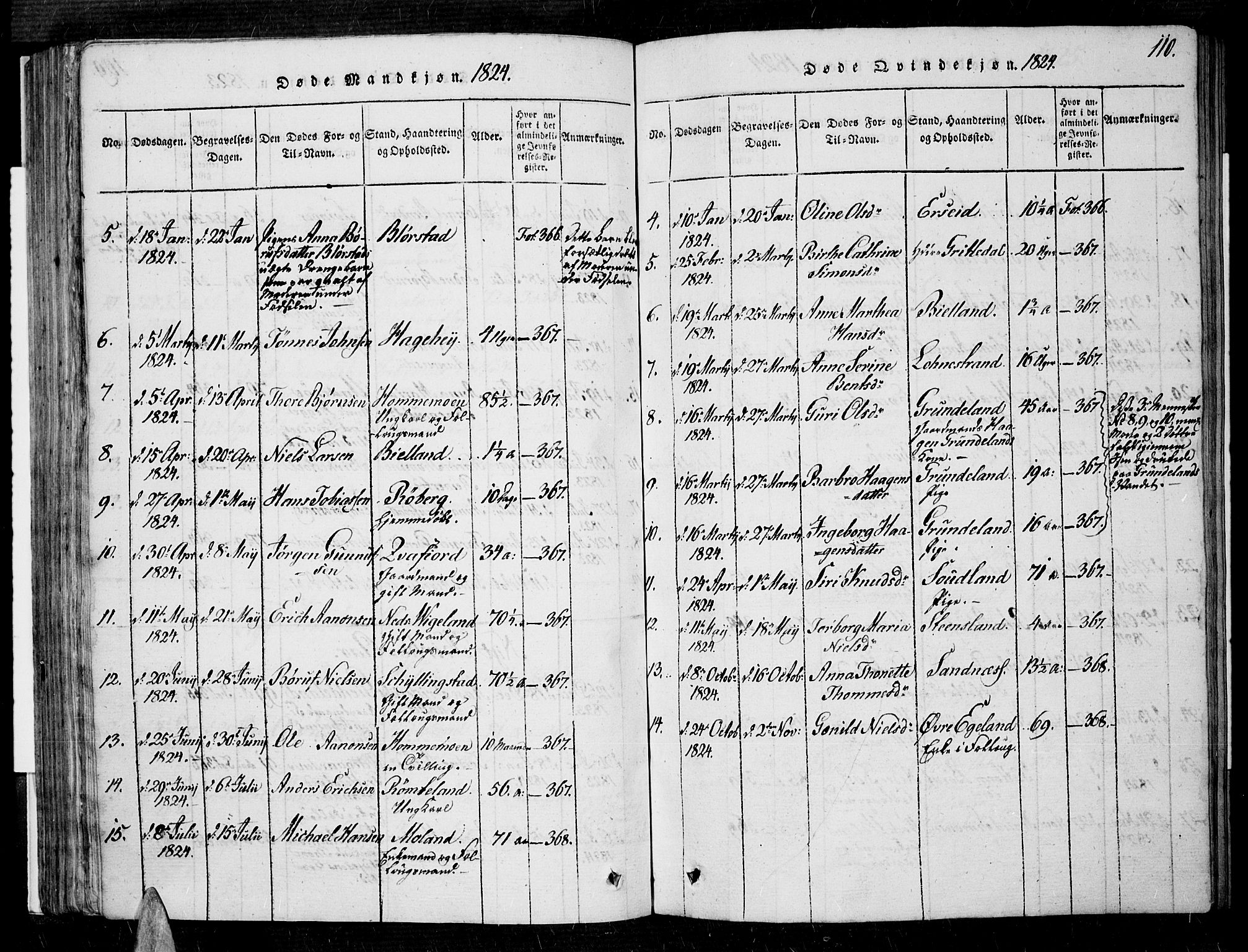 Sør-Audnedal sokneprestkontor, AV/SAK-1111-0039/F/Fa/Fab/L0005: Parish register (official) no. A 5, 1816-1830, p. 110