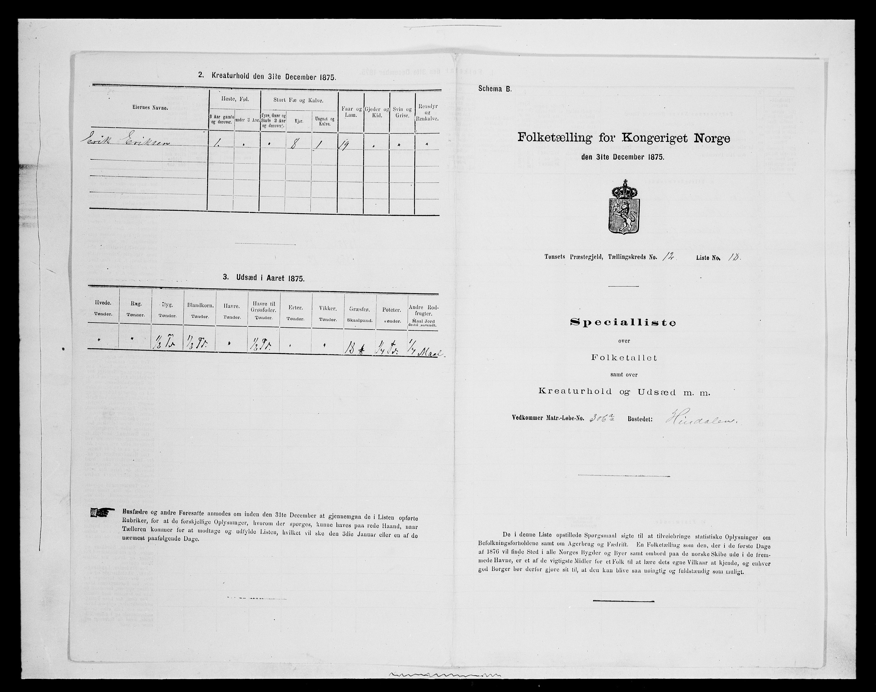 SAH, 1875 census for 0437P Tynset, 1875, p. 1086