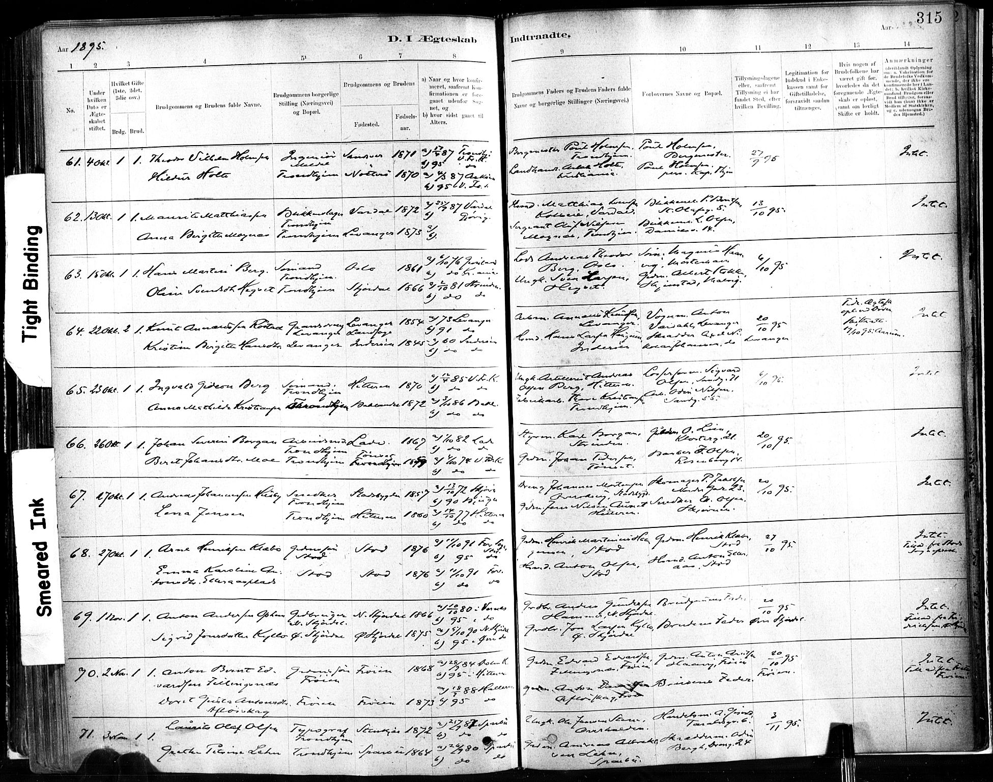 Ministerialprotokoller, klokkerbøker og fødselsregistre - Sør-Trøndelag, AV/SAT-A-1456/602/L0119: Parish register (official) no. 602A17, 1880-1901, p. 315