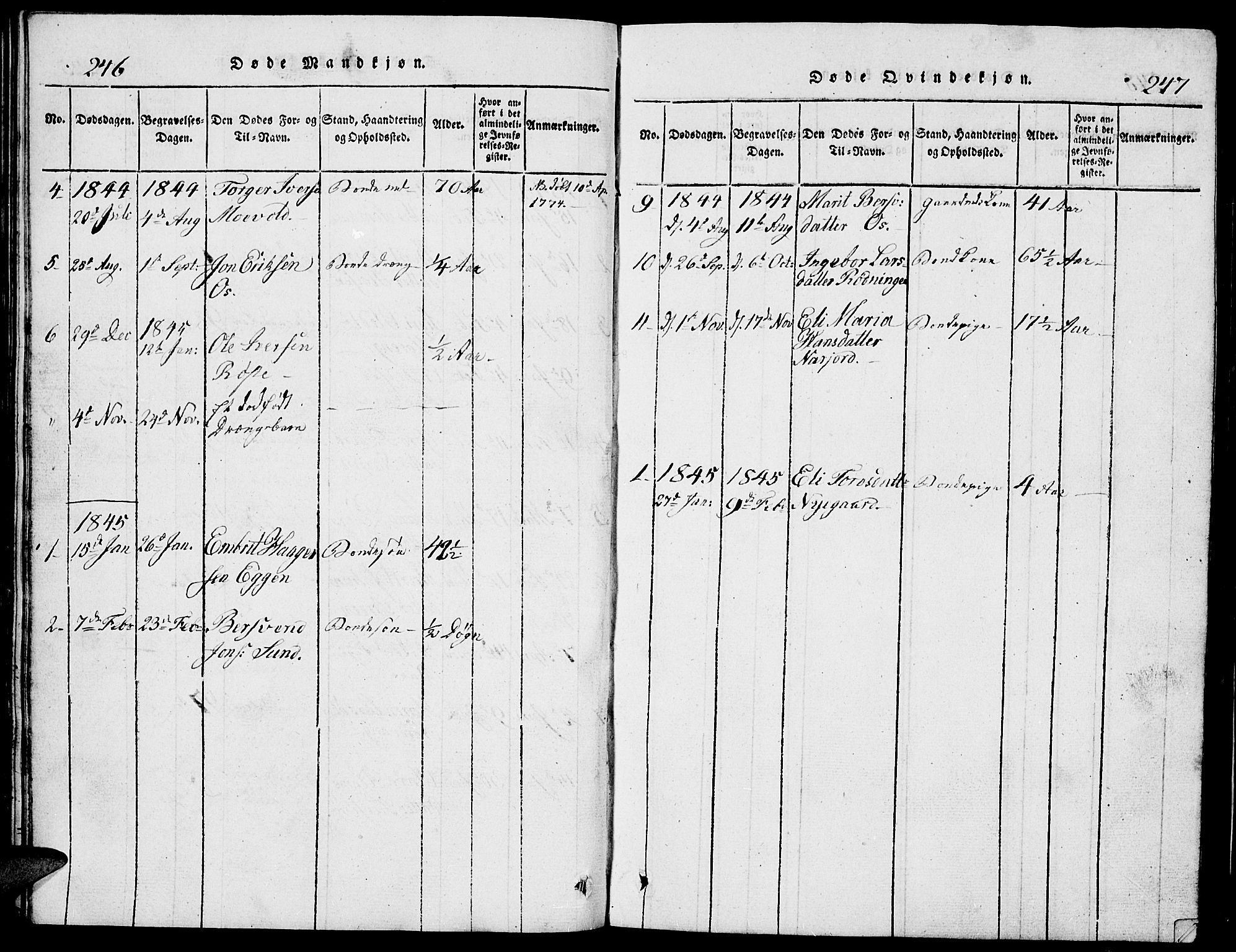 Tolga prestekontor, SAH/PREST-062/L/L0002: Parish register (copy) no. 2, 1815-1844, p. 246-247