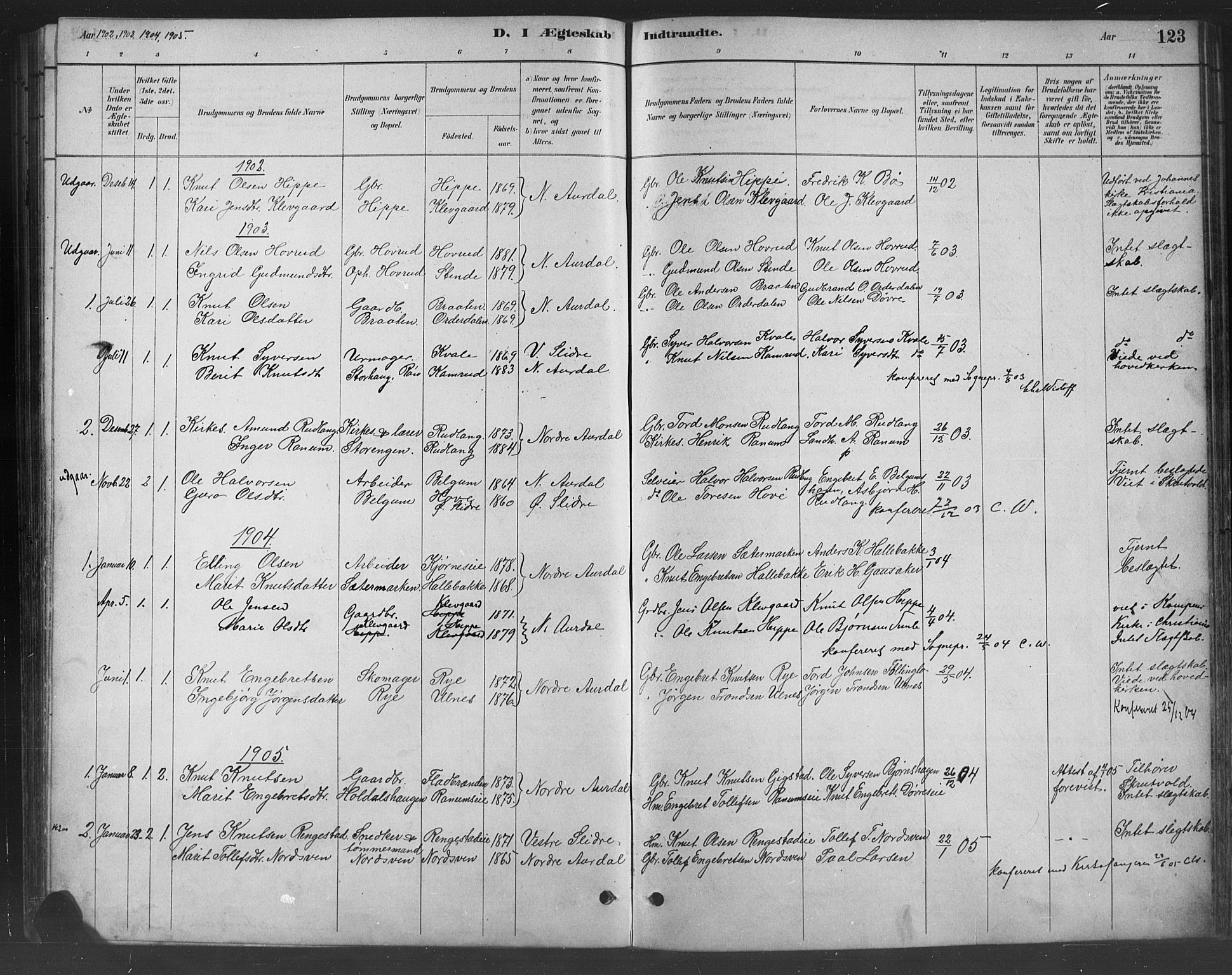 Nord-Aurdal prestekontor, SAH/PREST-132/H/Ha/Hab/L0008: Parish register (copy) no. 8, 1883-1916, p. 123
