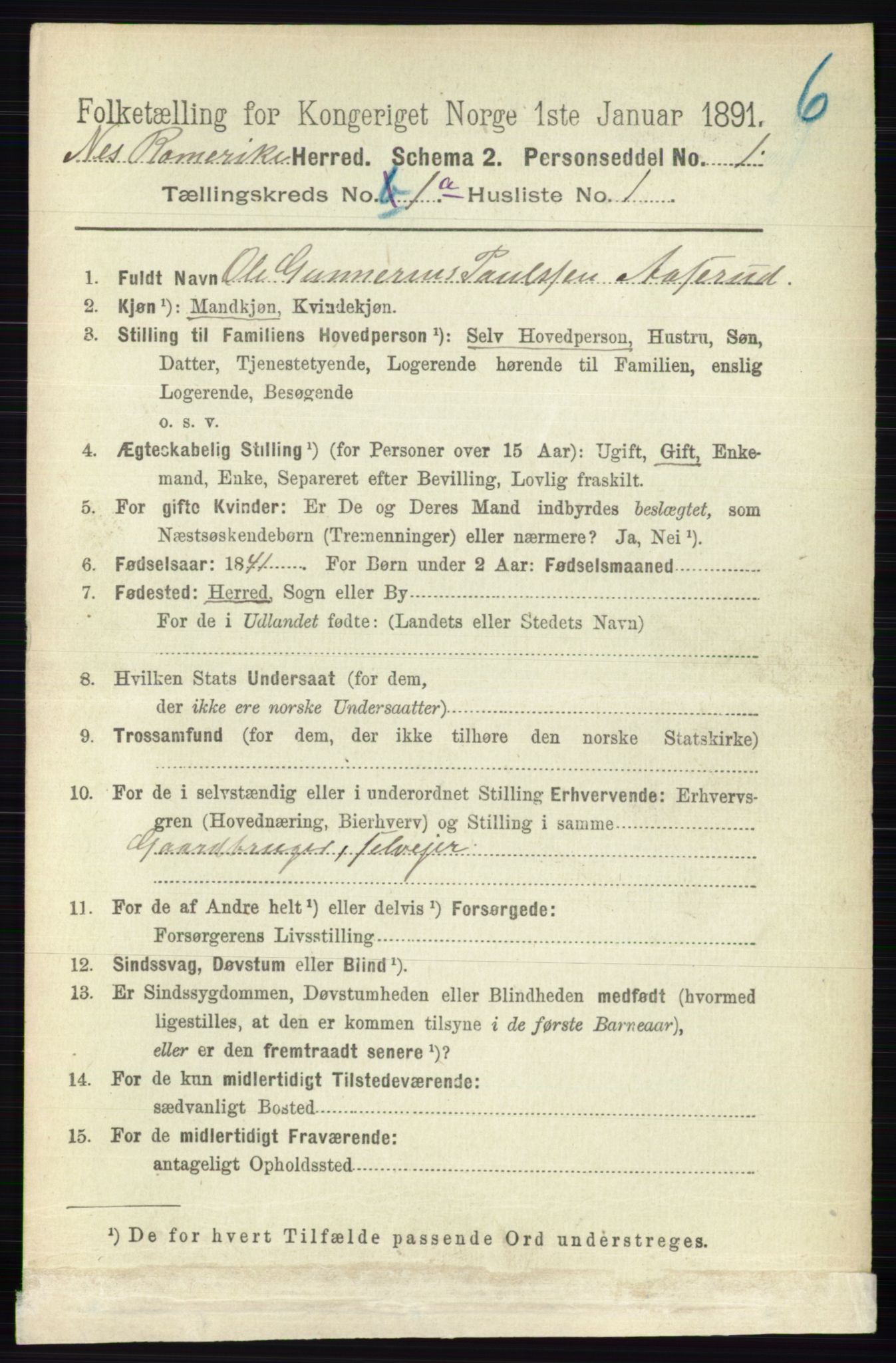 RA, 1891 census for 0236 Nes, 1891, p. 128