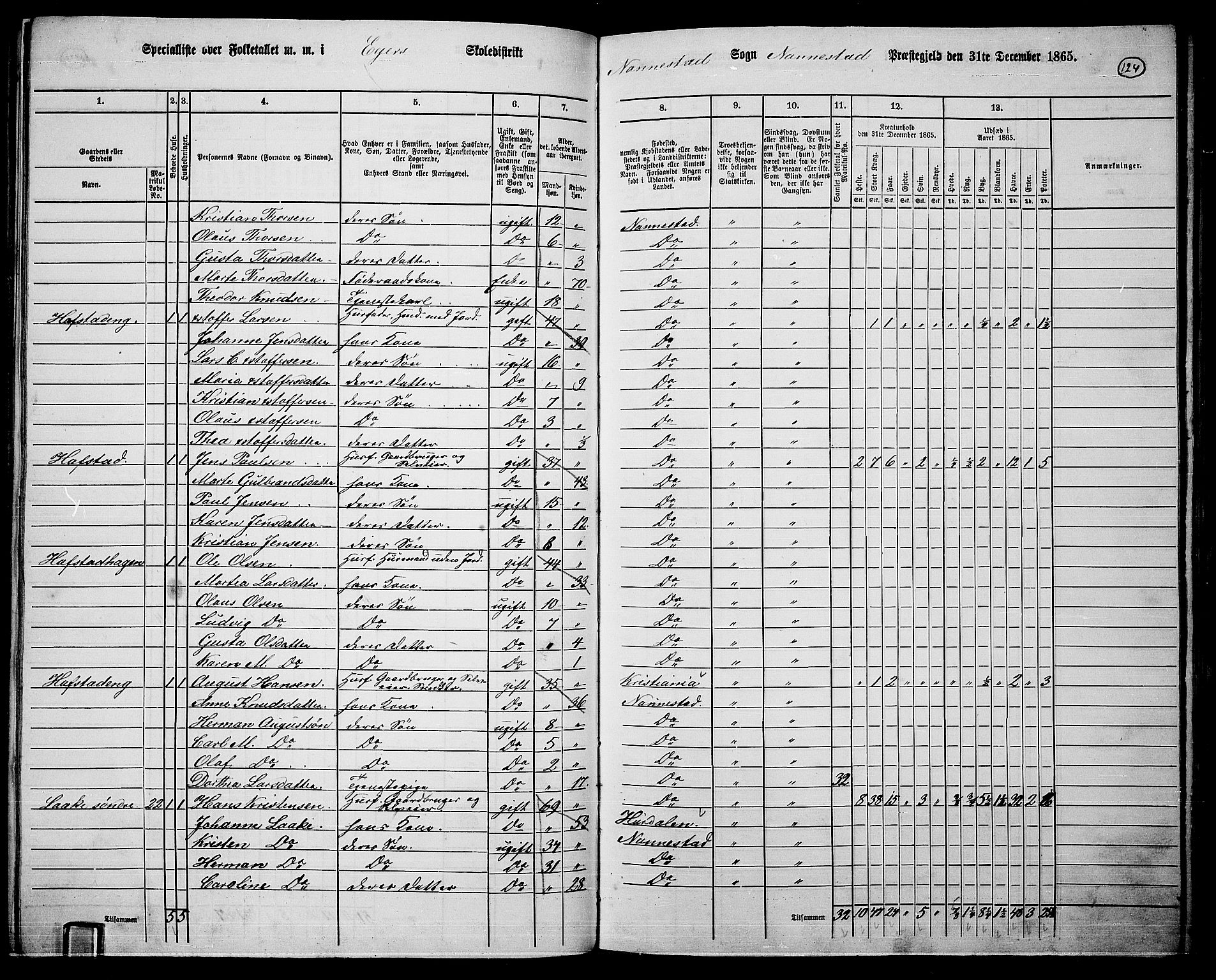 RA, 1865 census for Nannestad, 1865, p. 10