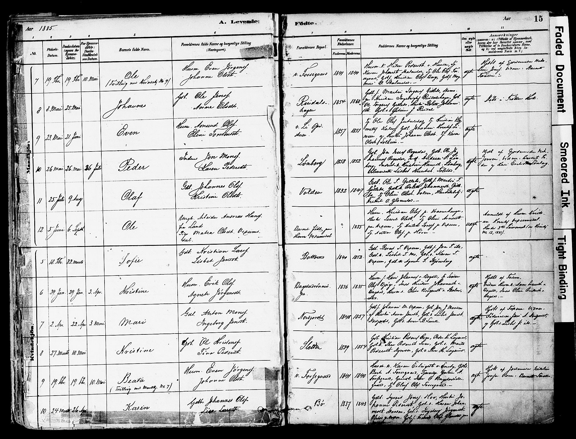 Øyer prestekontor, AV/SAH-PREST-084/H/Ha/Haa/L0008: Parish register (official) no. 8, 1878-1897, p. 15