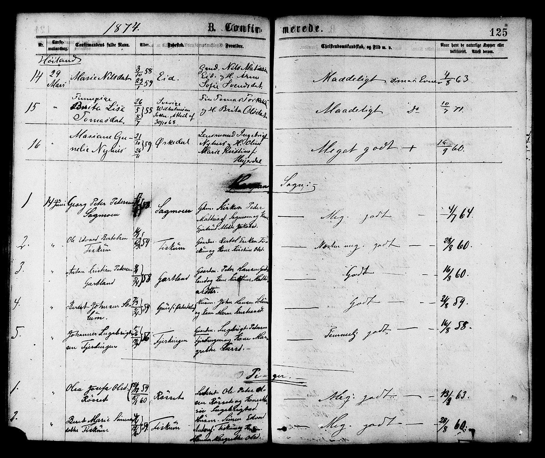 Ministerialprotokoller, klokkerbøker og fødselsregistre - Nord-Trøndelag, AV/SAT-A-1458/758/L0516: Parish register (official) no. 758A03 /1, 1869-1879, p. 125