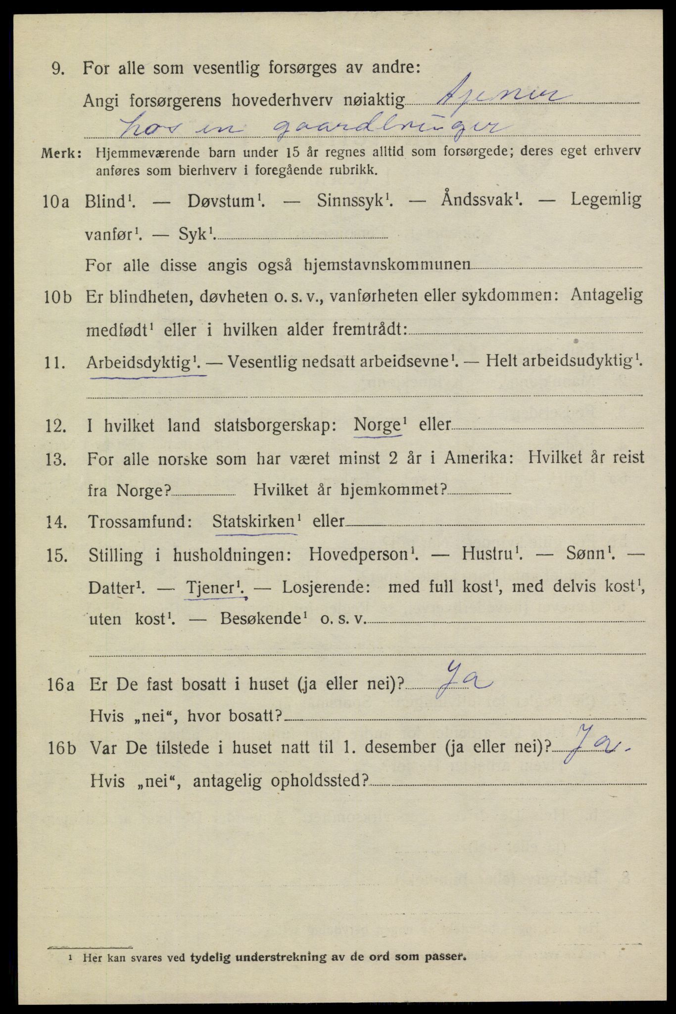 SAKO, 1920 census for Heddal, 1920, p. 5301