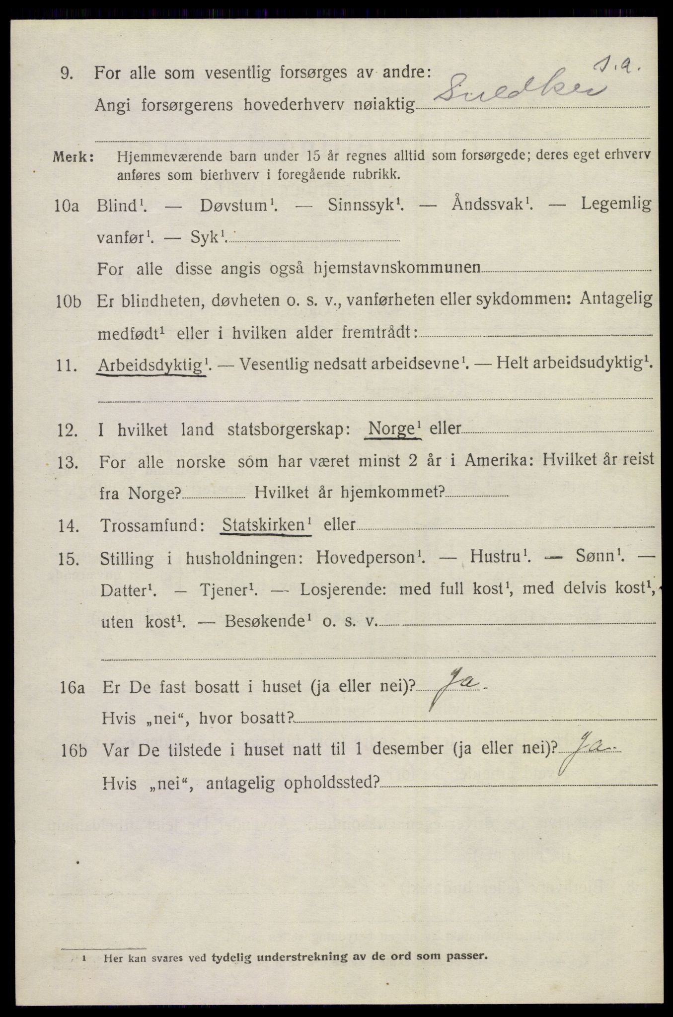 SAKO, 1920 census for Nes (Buskerud), 1920, p. 5057