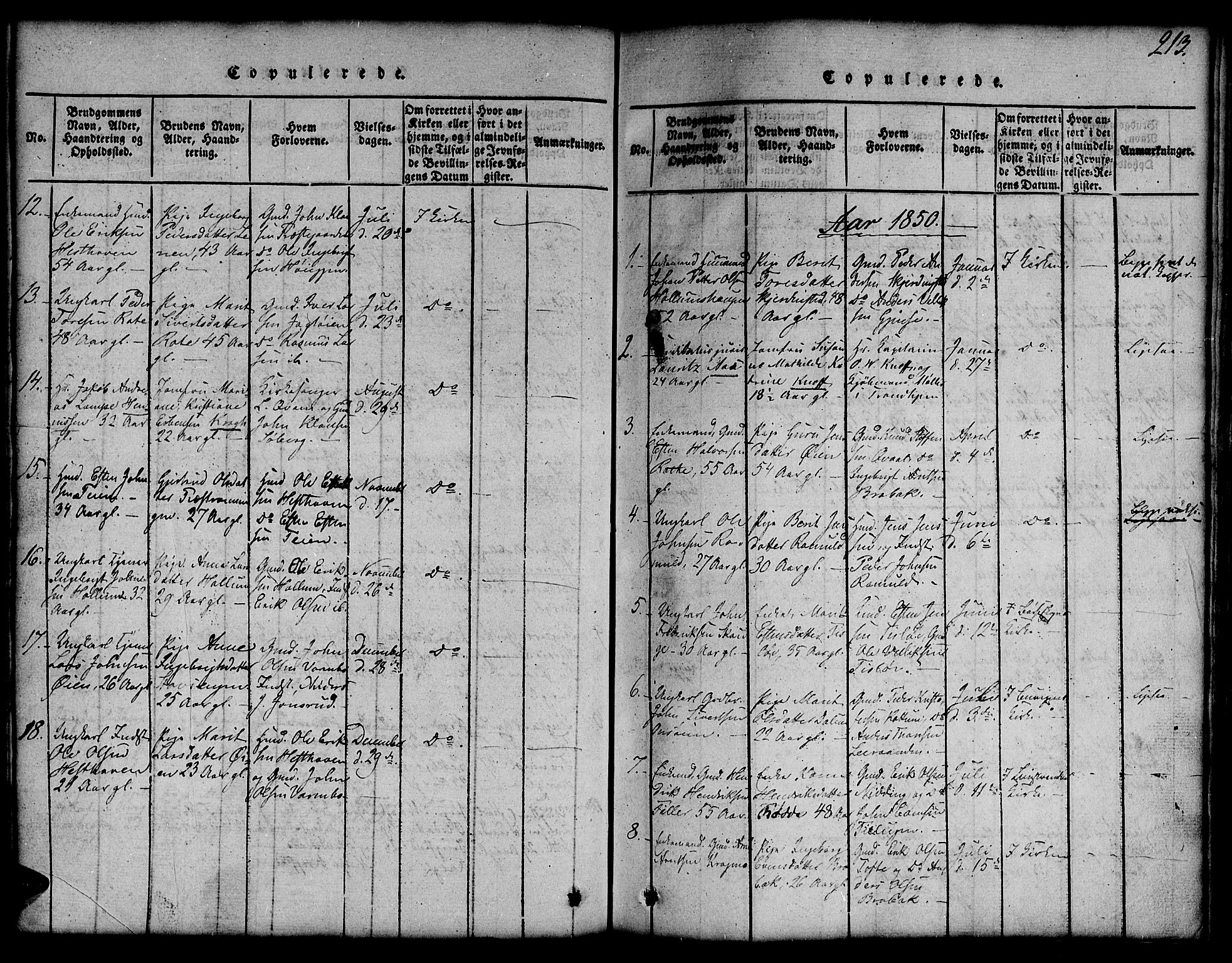 Ministerialprotokoller, klokkerbøker og fødselsregistre - Sør-Trøndelag, SAT/A-1456/691/L1092: Parish register (copy) no. 691C03, 1816-1852, p. 213