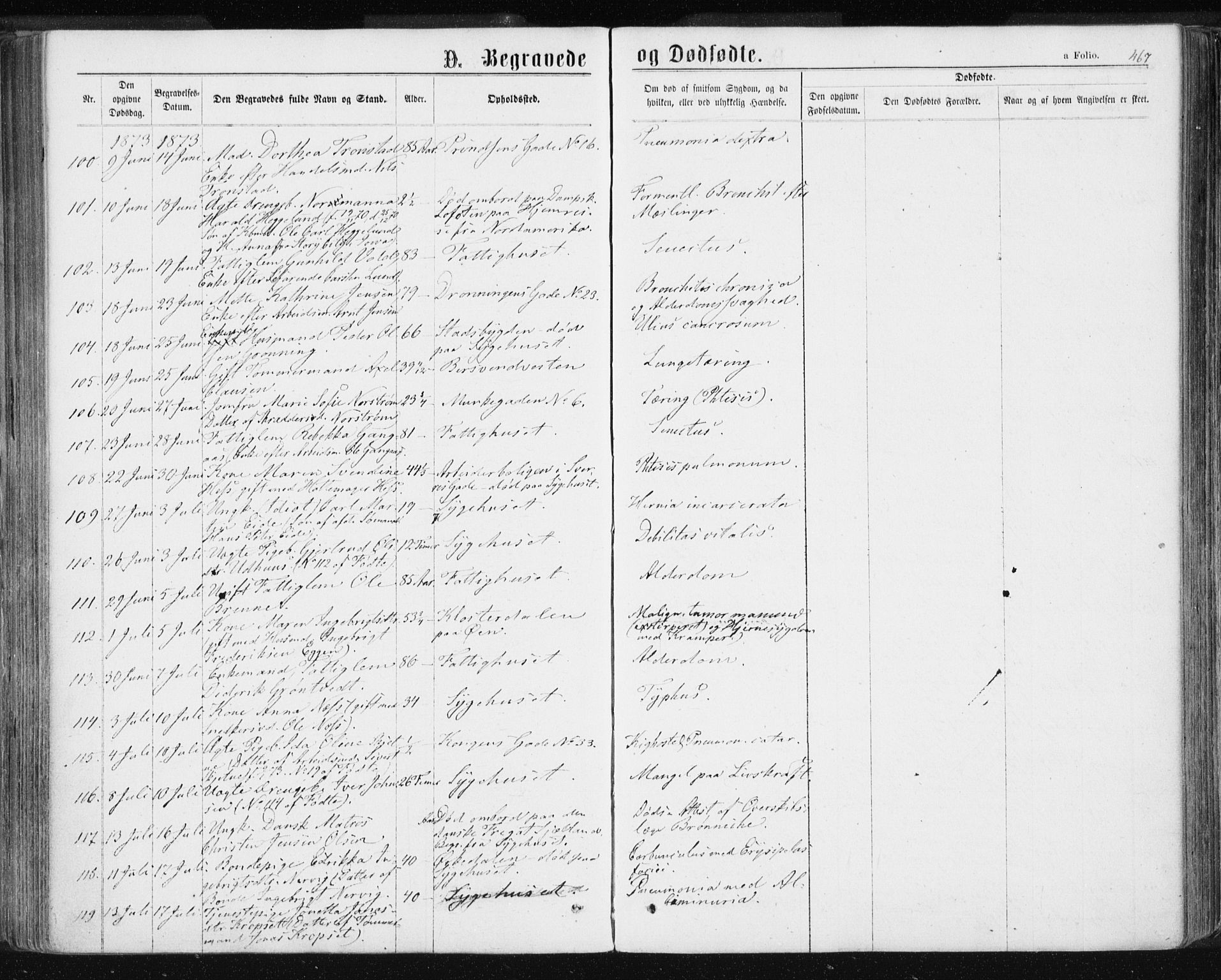 Ministerialprotokoller, klokkerbøker og fødselsregistre - Sør-Trøndelag, AV/SAT-A-1456/601/L0055: Parish register (official) no. 601A23, 1866-1877, p. 467
