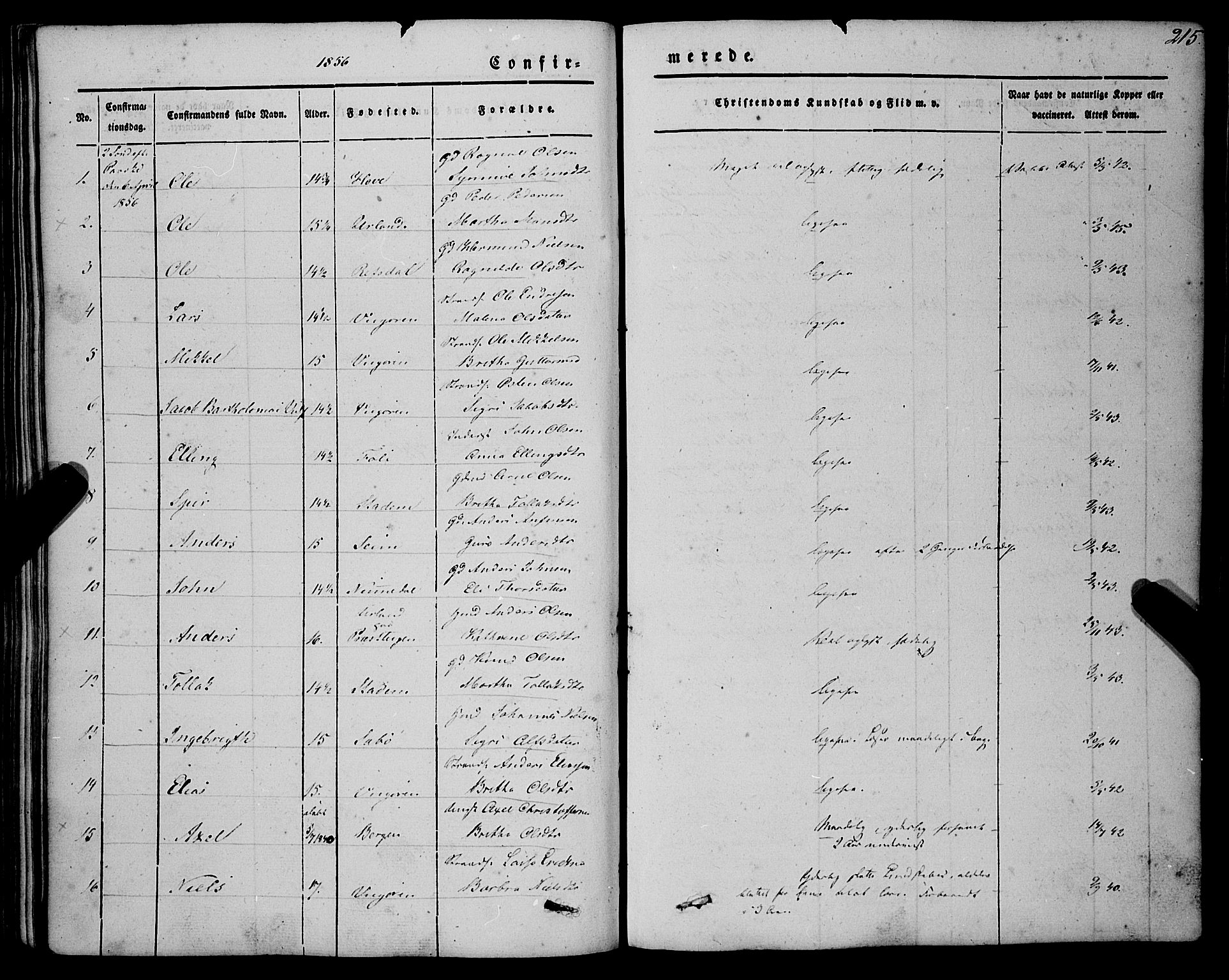 Vik sokneprestembete, AV/SAB-A-81501/H/Haa/Haaa/L0008: Parish register (official) no. A 8, 1846-1865, p. 215