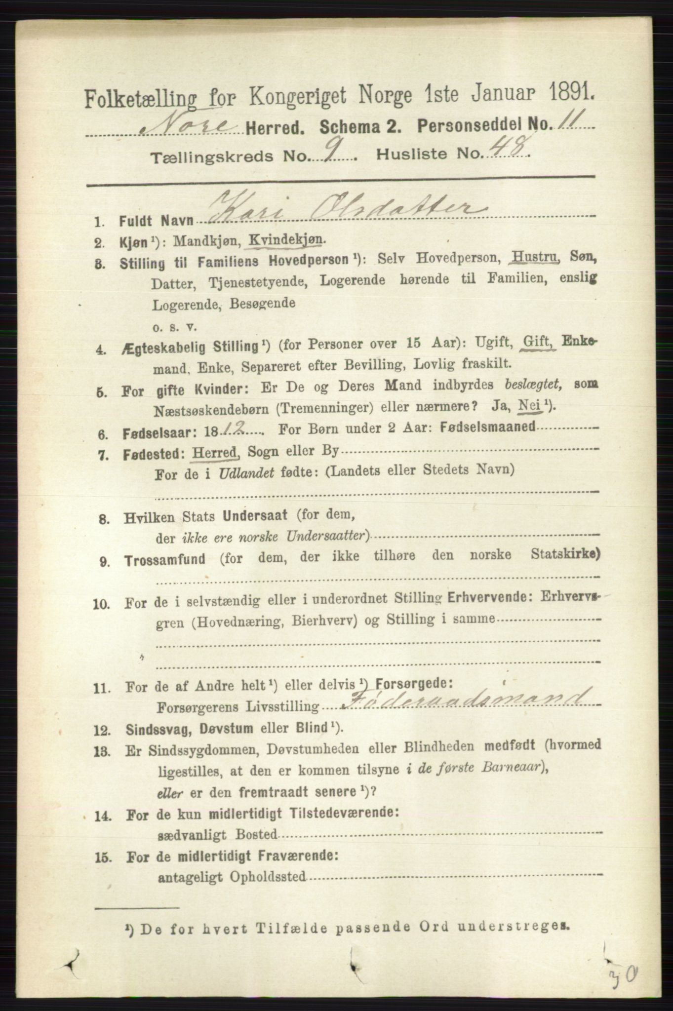 RA, 1891 census for 0633 Nore, 1891, p. 3499