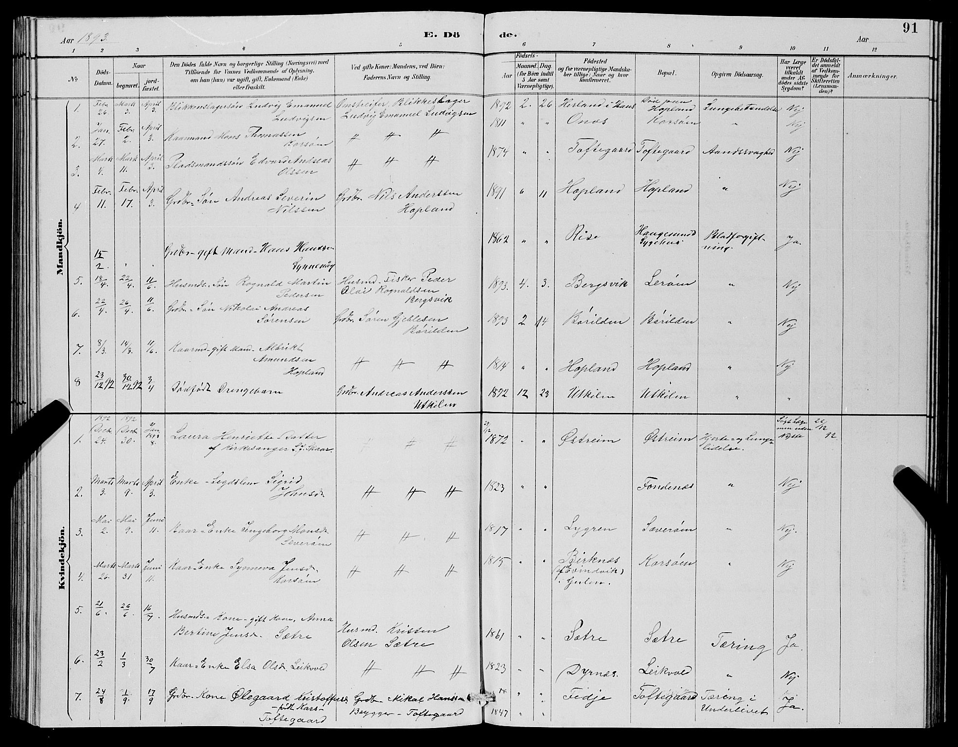 Lindås Sokneprestembete, SAB/A-76701/H/Hab: Parish register (copy) no. C 3, 1886-1893, p. 91
