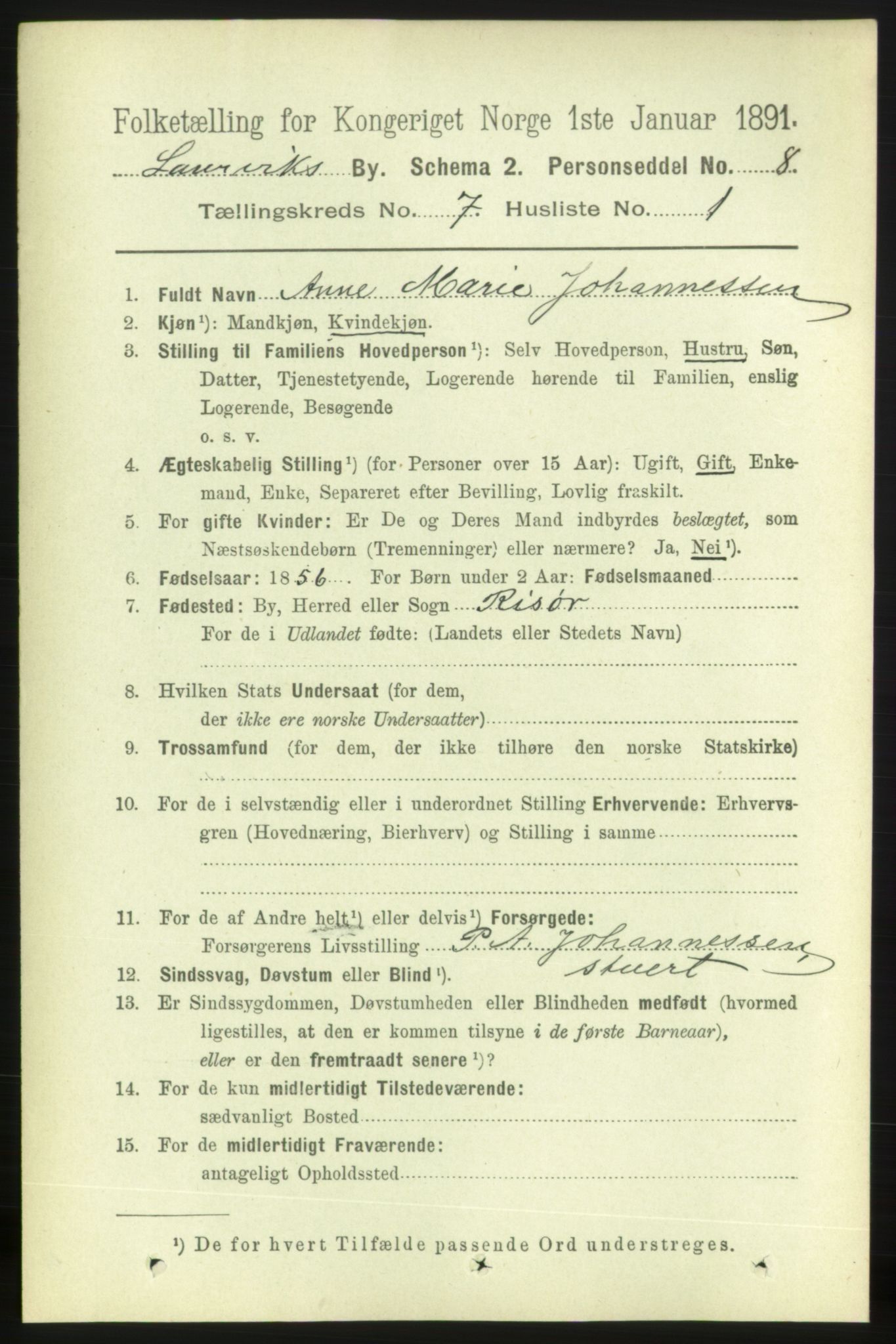 RA, 1891 census for 0707 Larvik, 1891, p. 7161