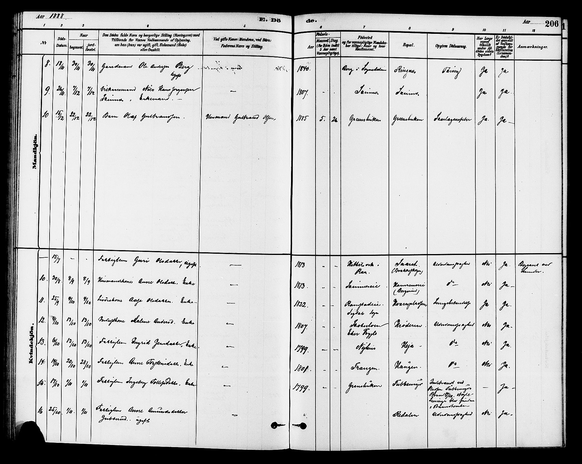 Krødsherad kirkebøker, AV/SAKO-A-19/G/Ga/L0001: Parish register (copy) no. 1, 1879-1893, p. 206