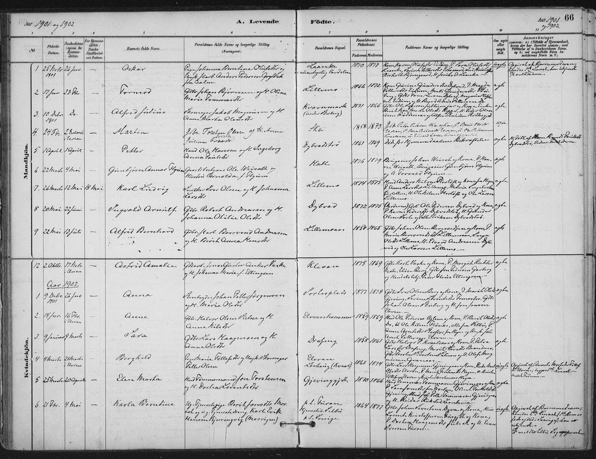 Ministerialprotokoller, klokkerbøker og fødselsregistre - Nord-Trøndelag, SAT/A-1458/710/L0095: Parish register (official) no. 710A01, 1880-1914, p. 66
