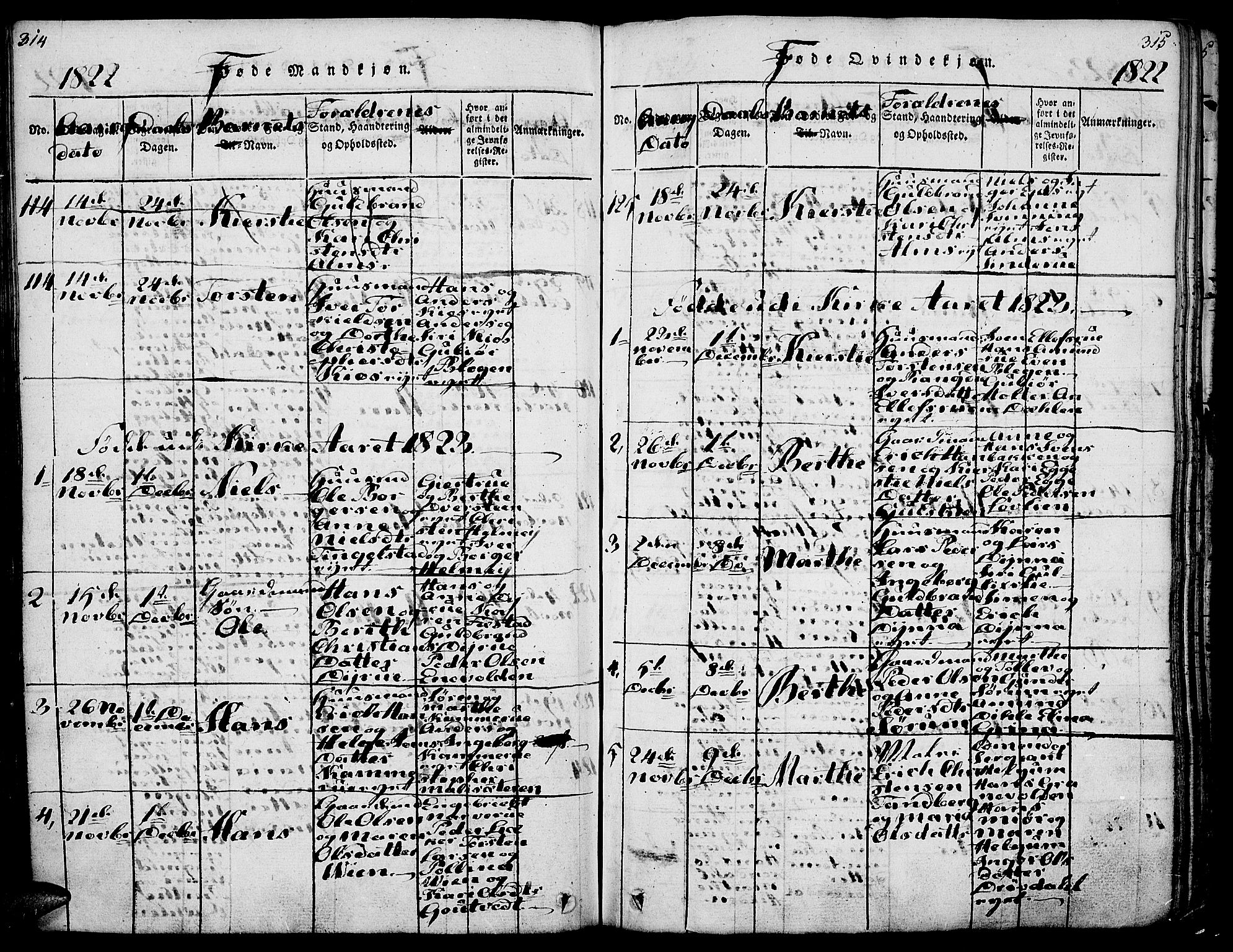 Gran prestekontor, SAH/PREST-112/H/Ha/Haa/L0009: Parish register (official) no. 9, 1815-1824, p. 314-315