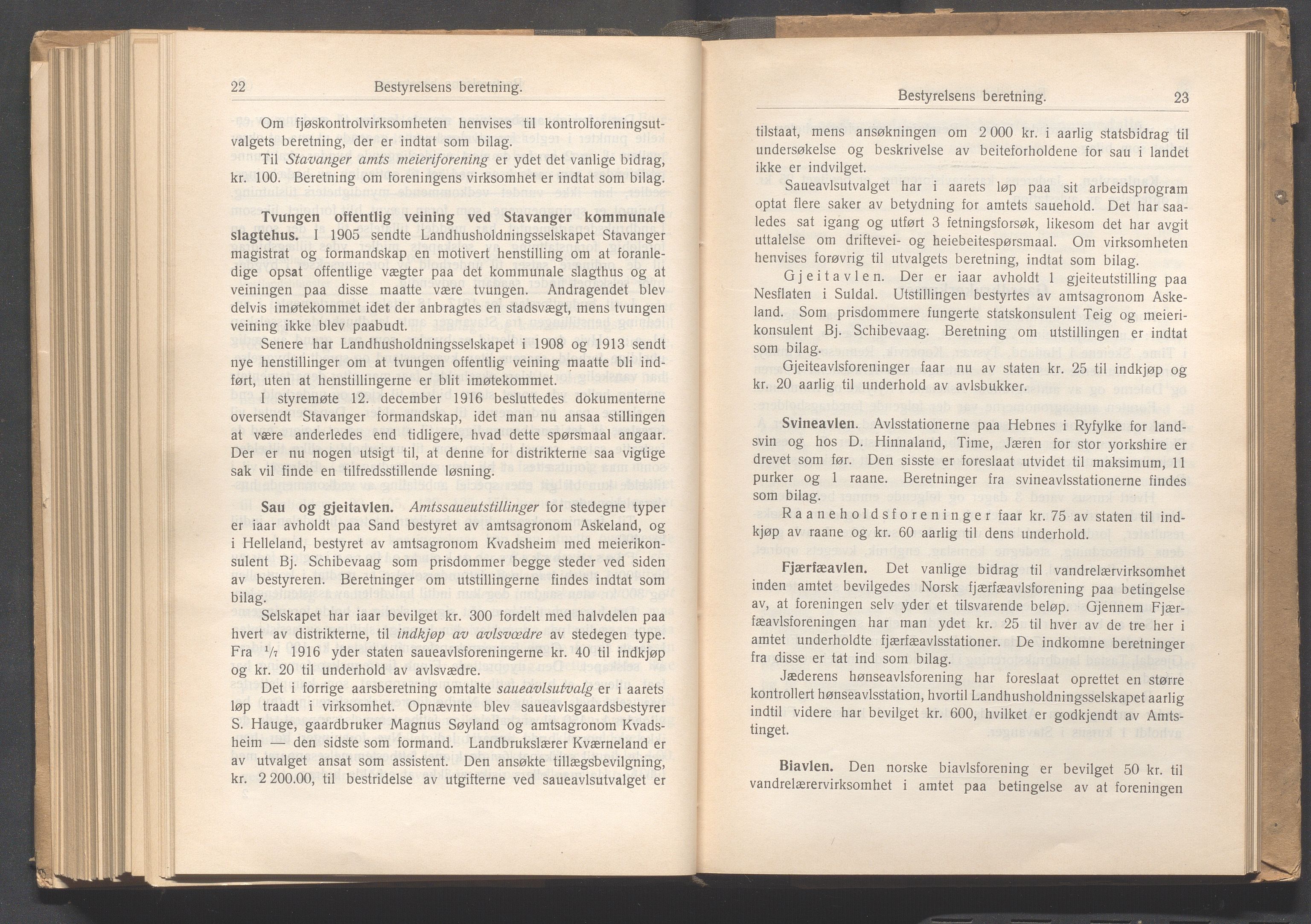 Rogaland fylkeskommune - Fylkesrådmannen , IKAR/A-900/A, 1917, p. 283