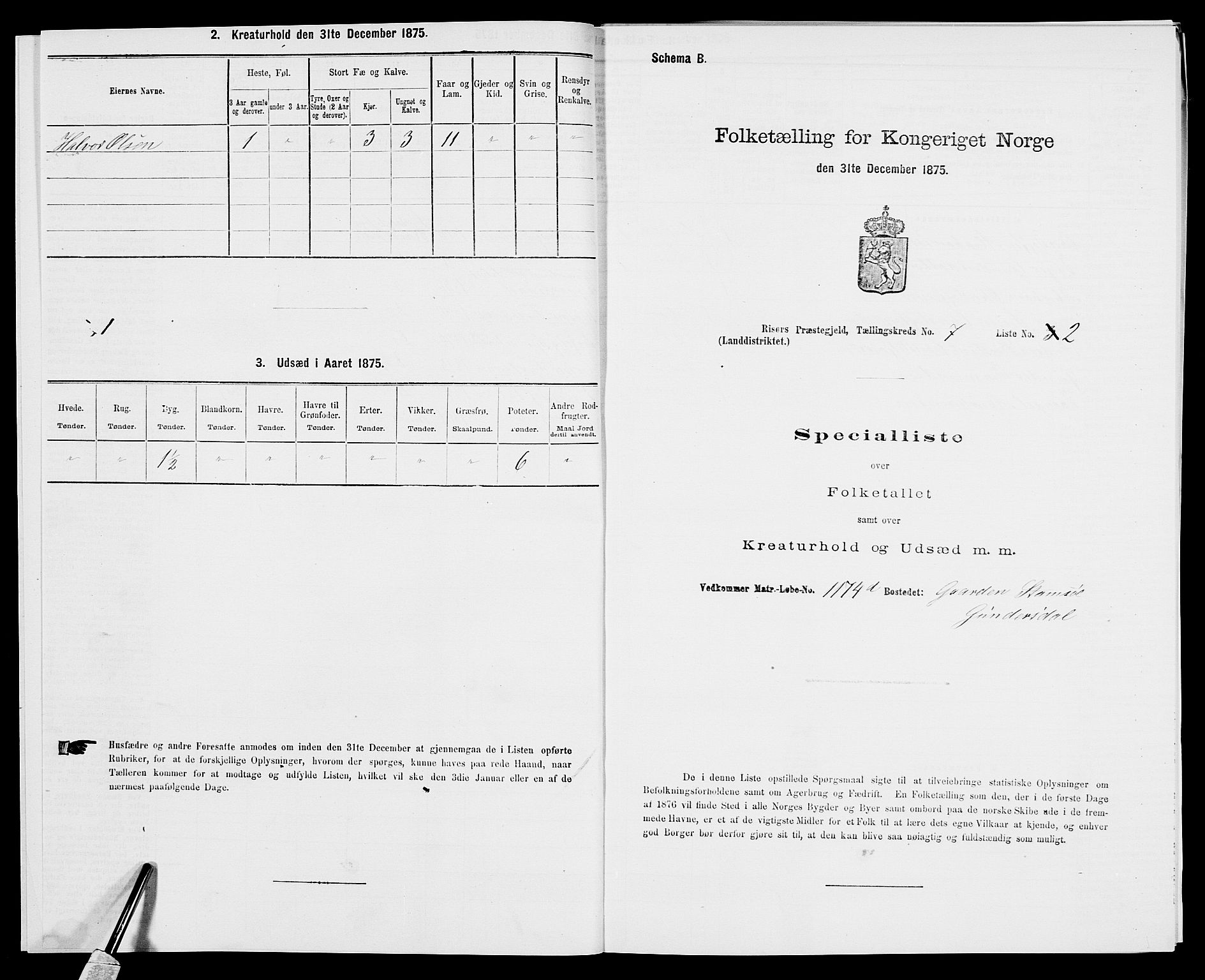 SAK, 1875 census for 0913L Risør/Søndeled, 1875, p. 1038