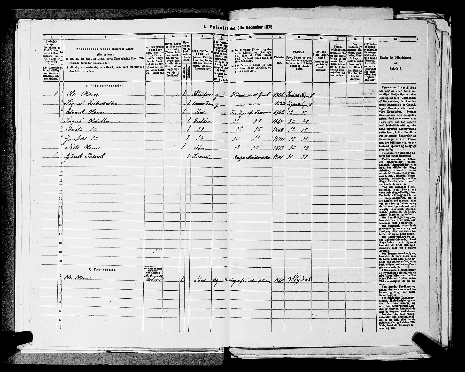 SAKO, 1875 census for 0621P Sigdal, 1875, p. 419