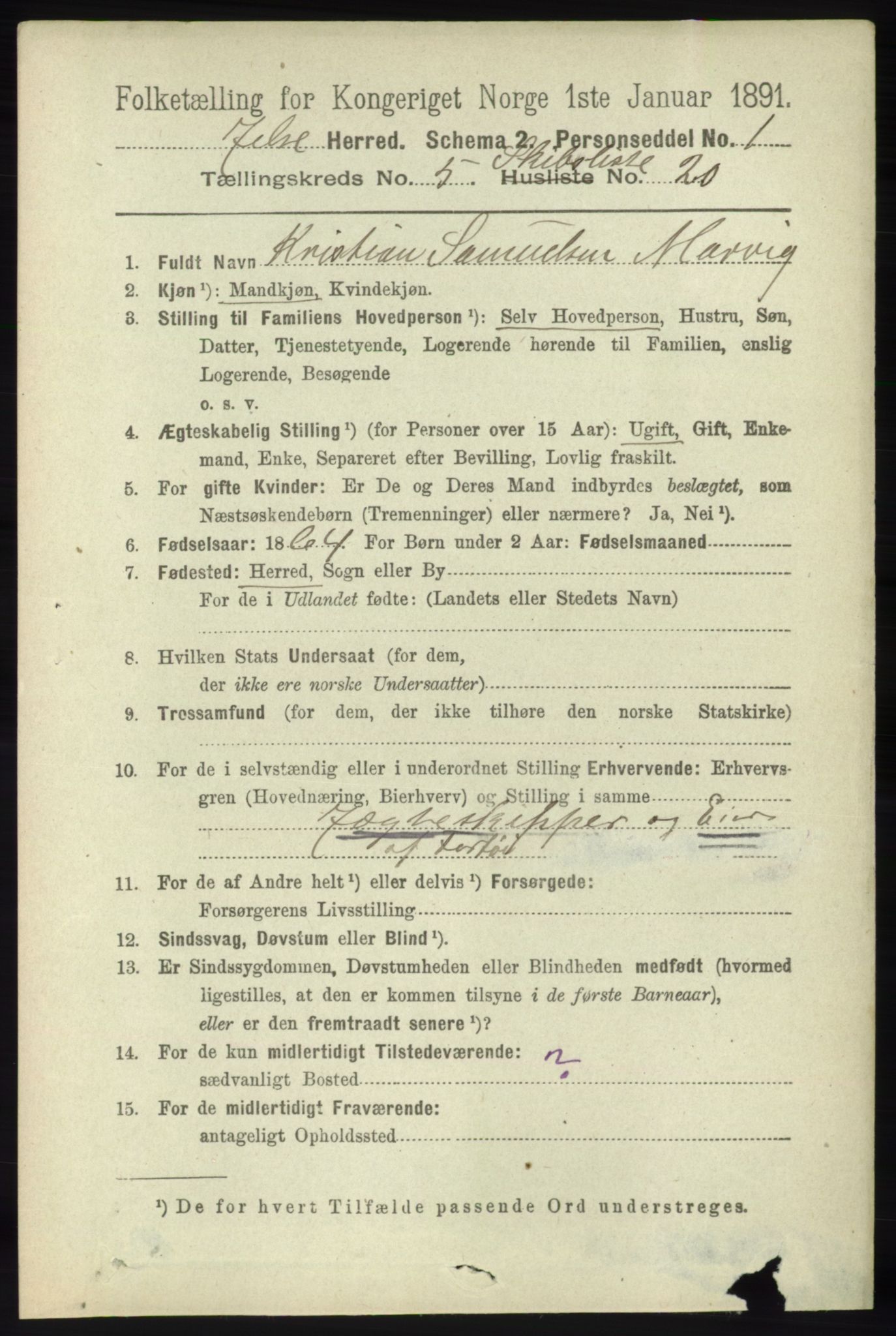 RA, 1891 census for 1138 Jelsa, 1891, p. 1150